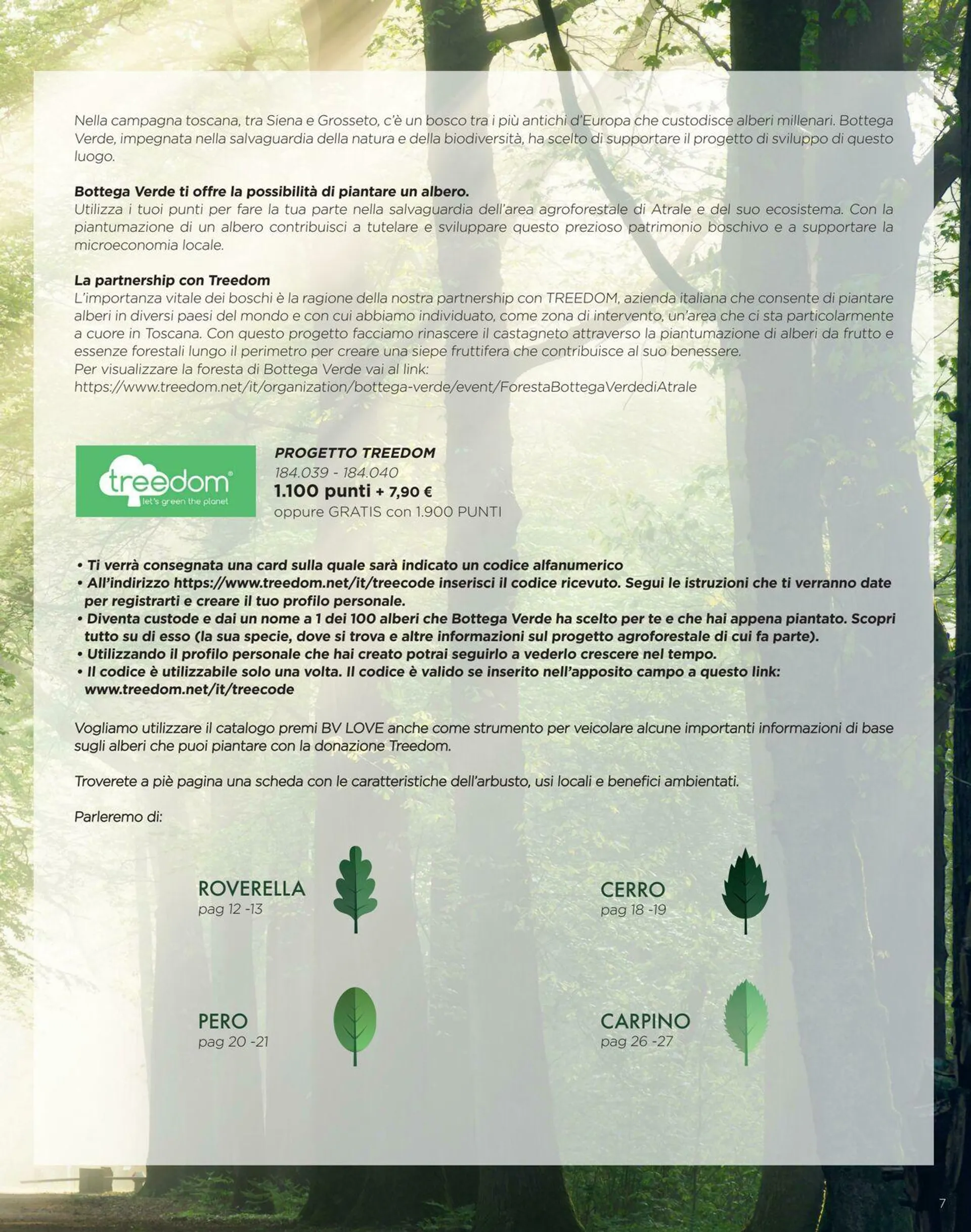Bottega Verde da 24 aprile a 24 settembre di 2025 - Pagina del volantino 7
