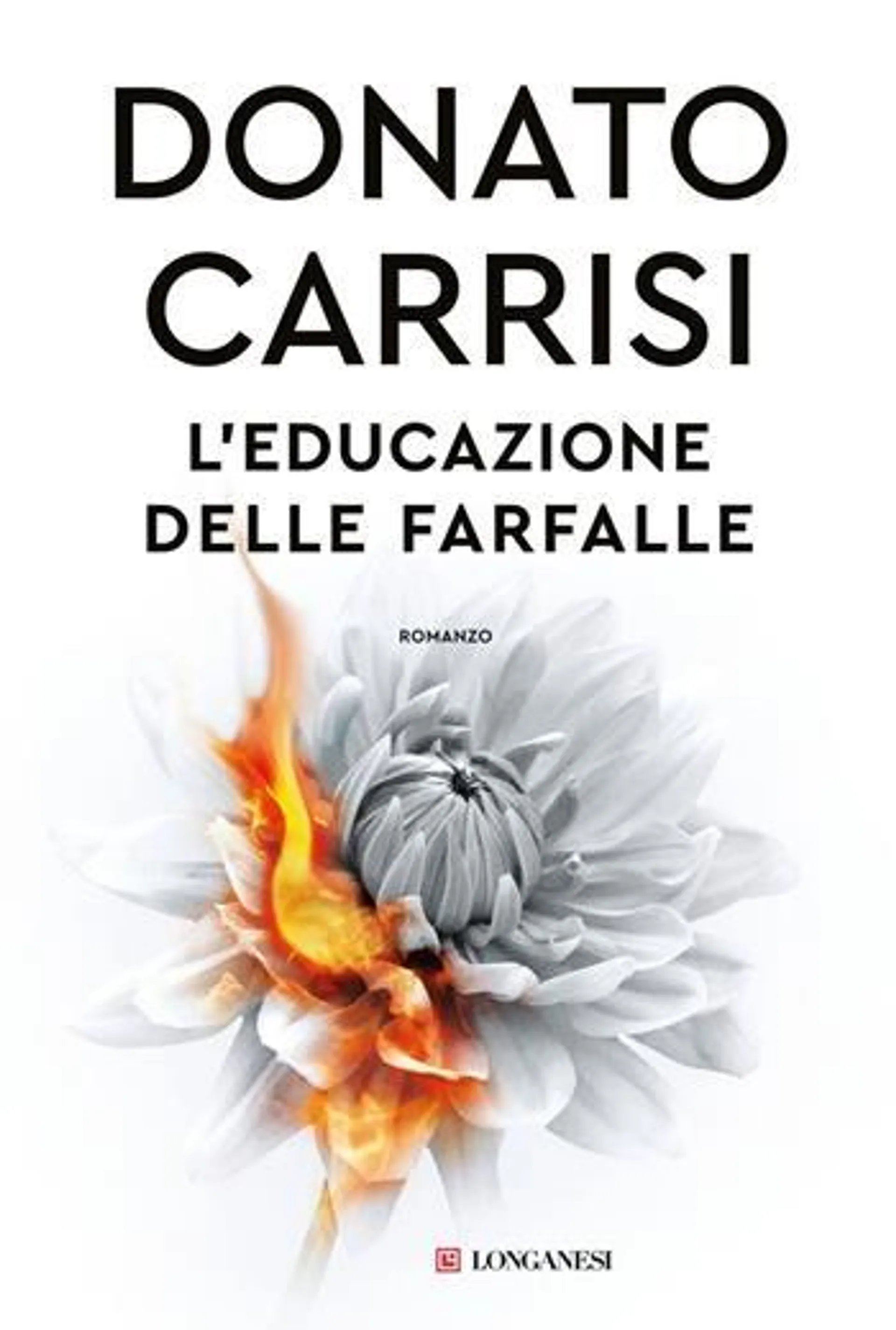 L'educazione delle farfalle (eBook)