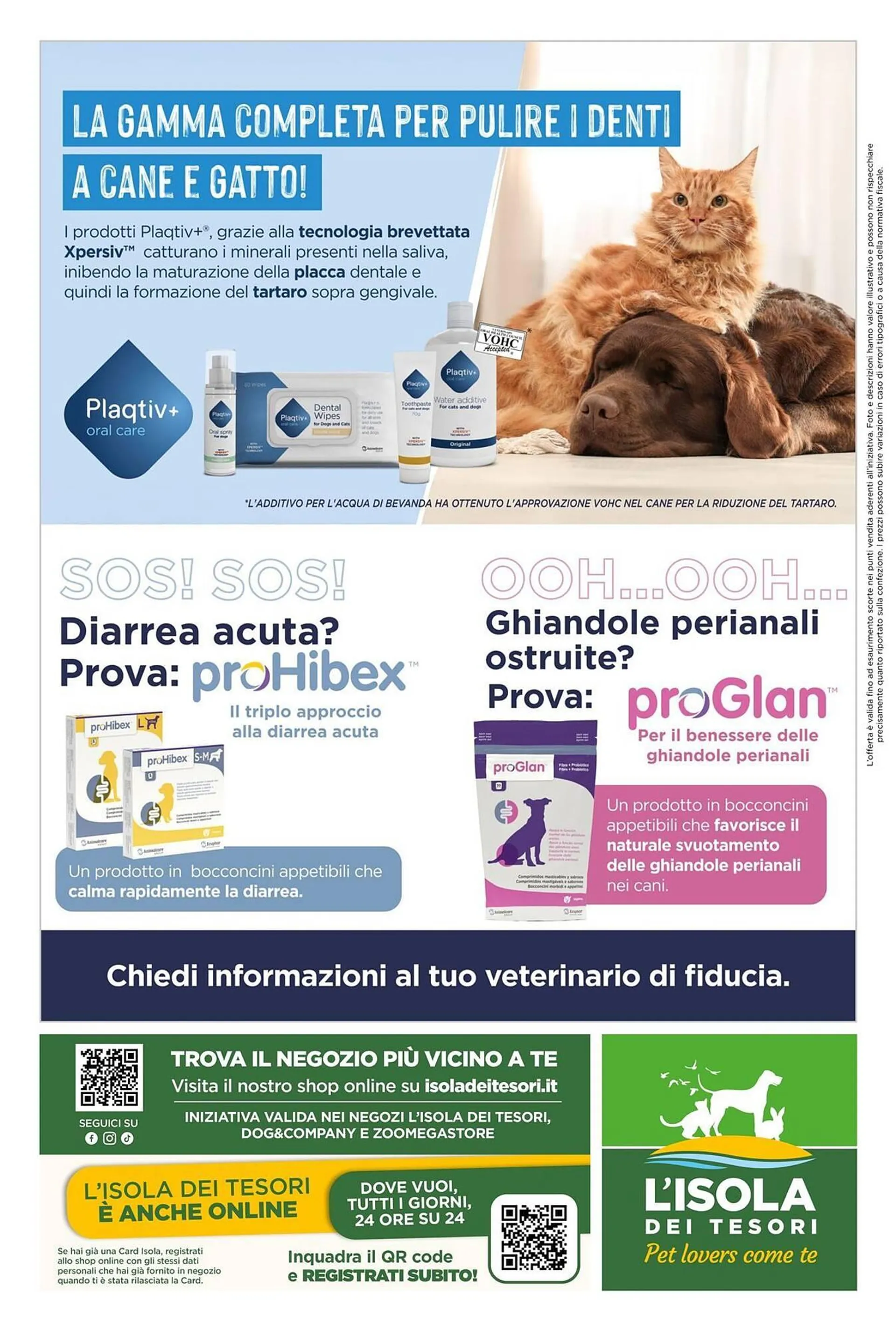 Volantino L´Isola dei Tesori da 30 aprile a 25 maggio di 2025 - Pagina del volantino 16