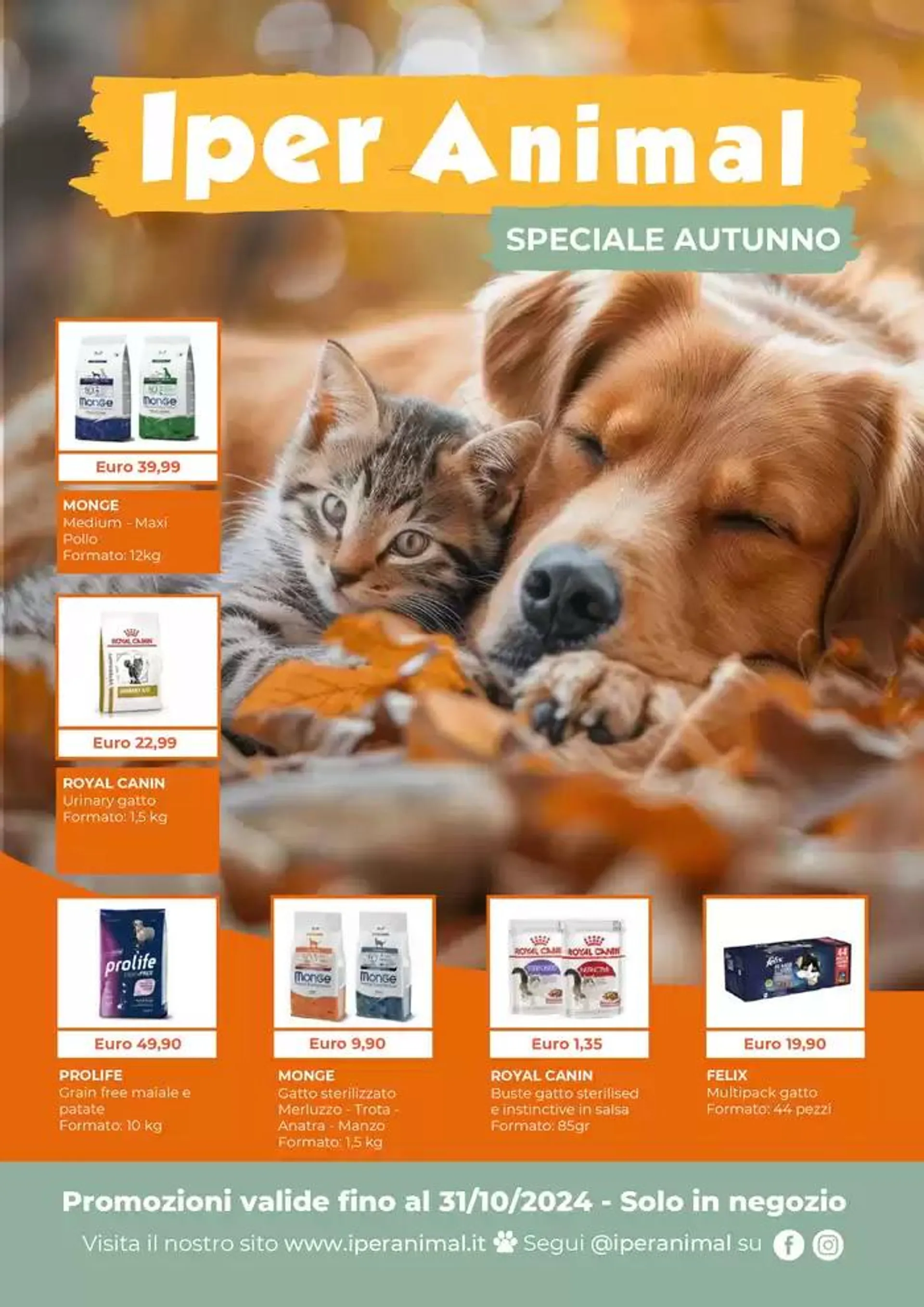 Speciale autunno da 1 ottobre a 31 ottobre di 2024 - Pagina del volantino 1