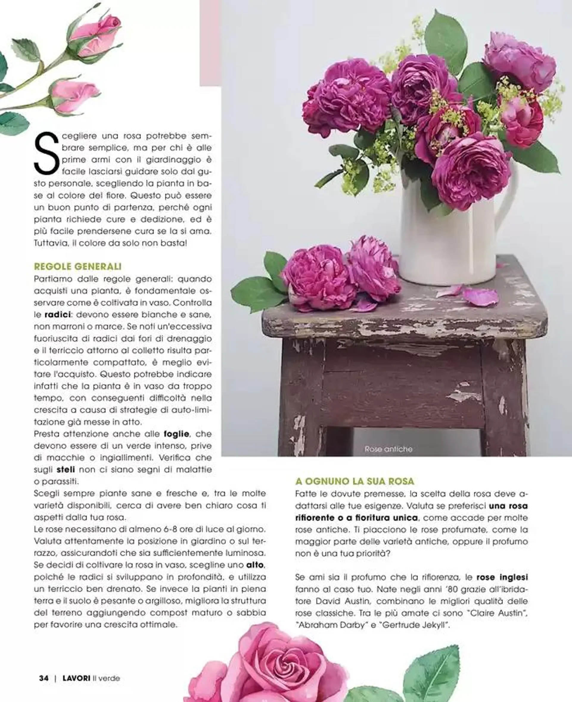 Catalogo A&O da 1 maggio a 30 giugno di 2025 - Pagina del volantino 35