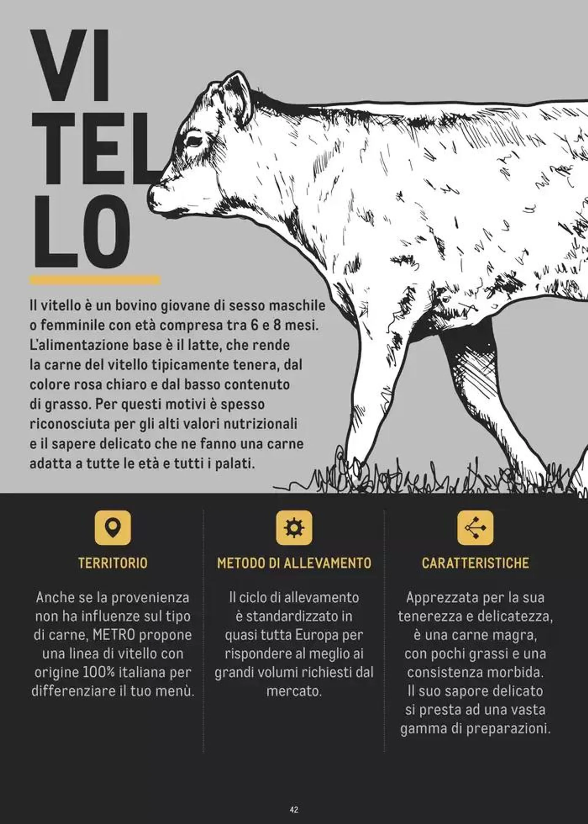 CATALOGO CARNE 2024 da 2 gennaio a 31 agosto di 2025 - Pagina del volantino 42