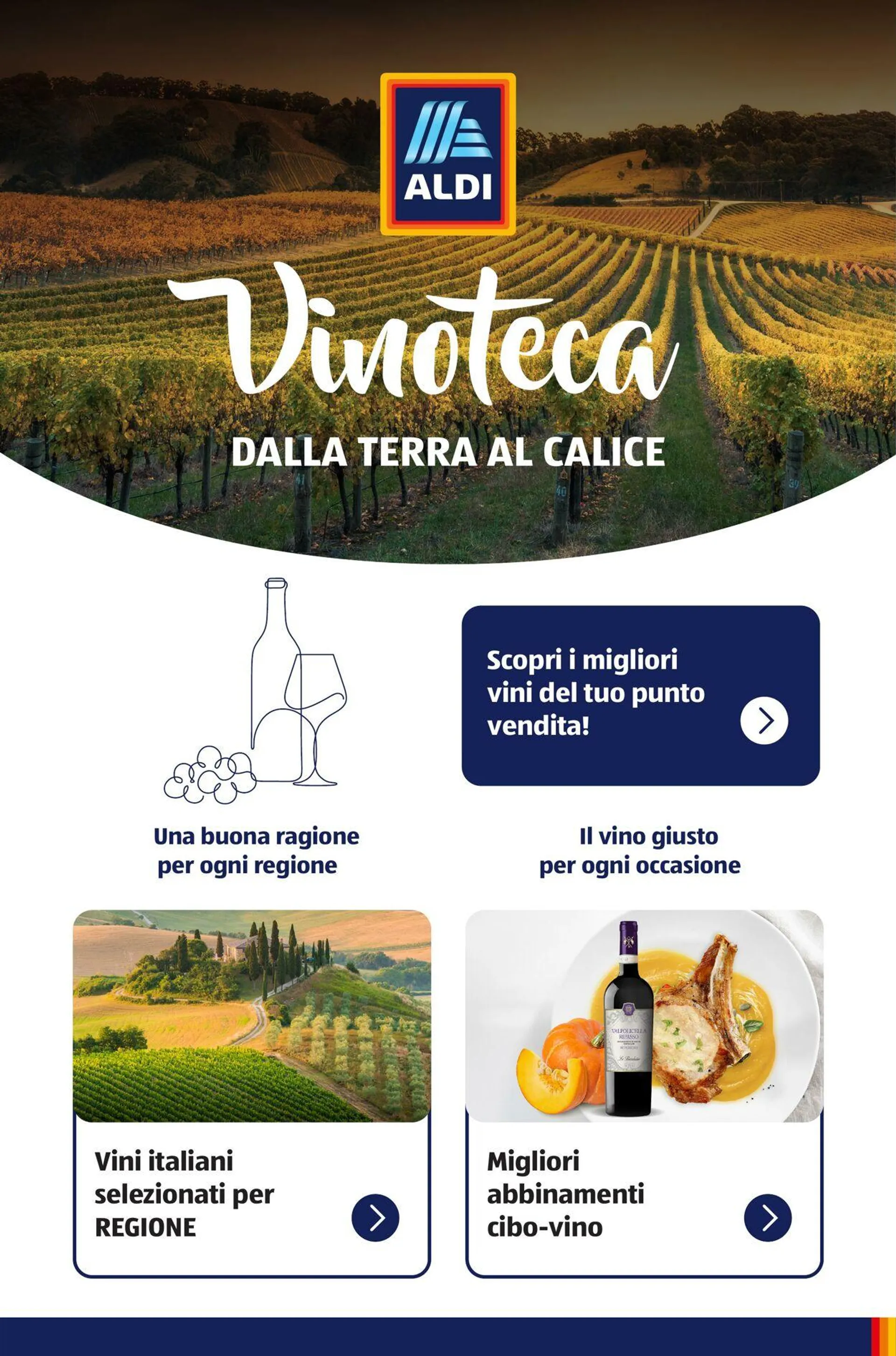 Aldi Volantino attuale - 1
