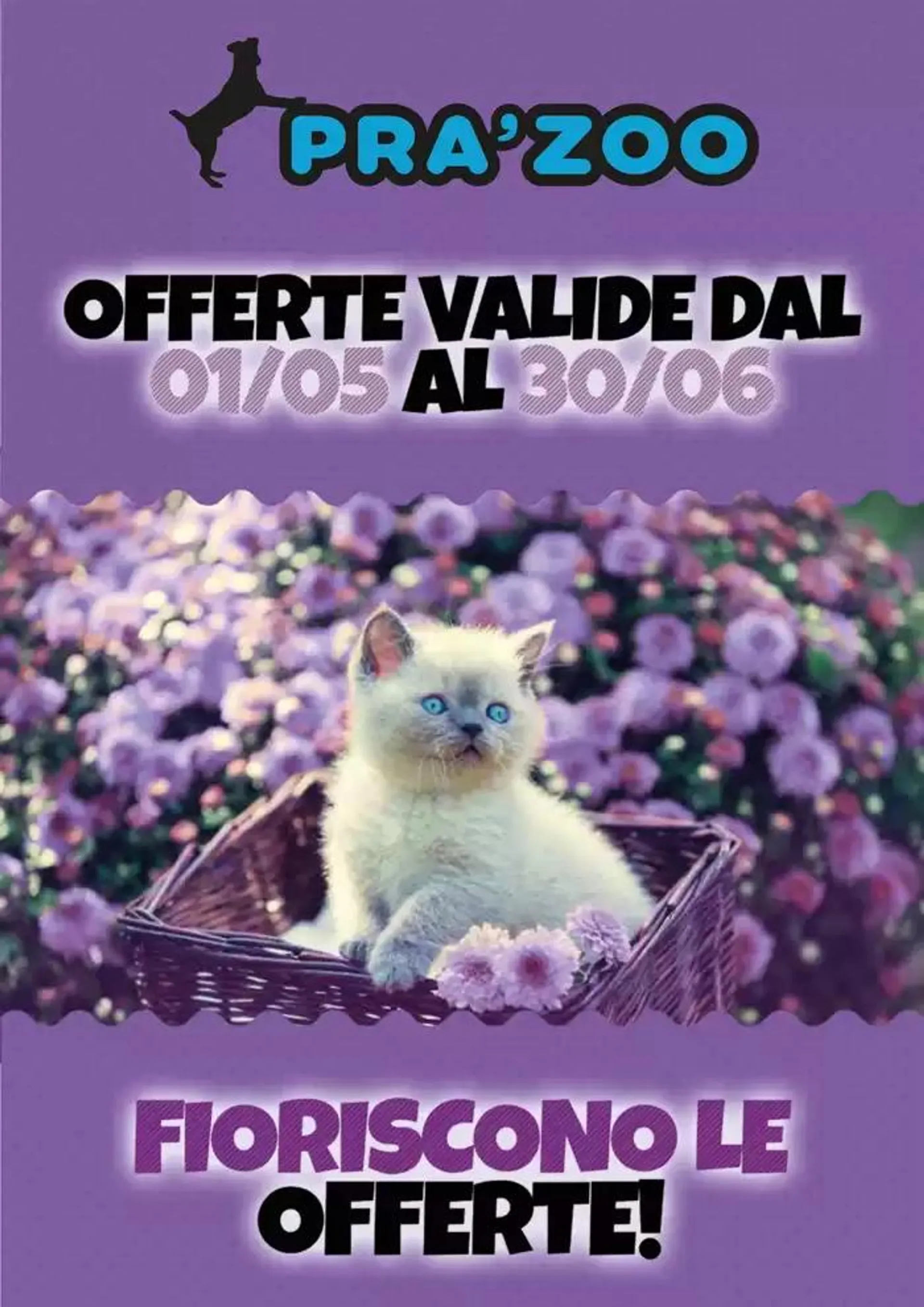 Offerte valide dal 01/05 sl 30/06 - 1