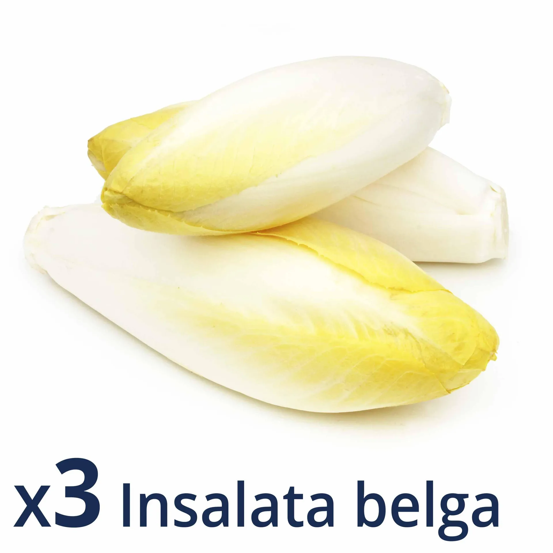 Insalata Belga