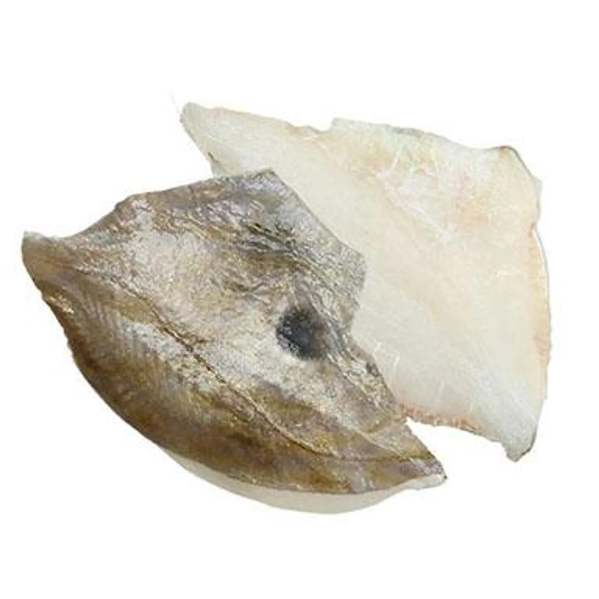 Filetti di pesce San Pietro al Naturale 400 g