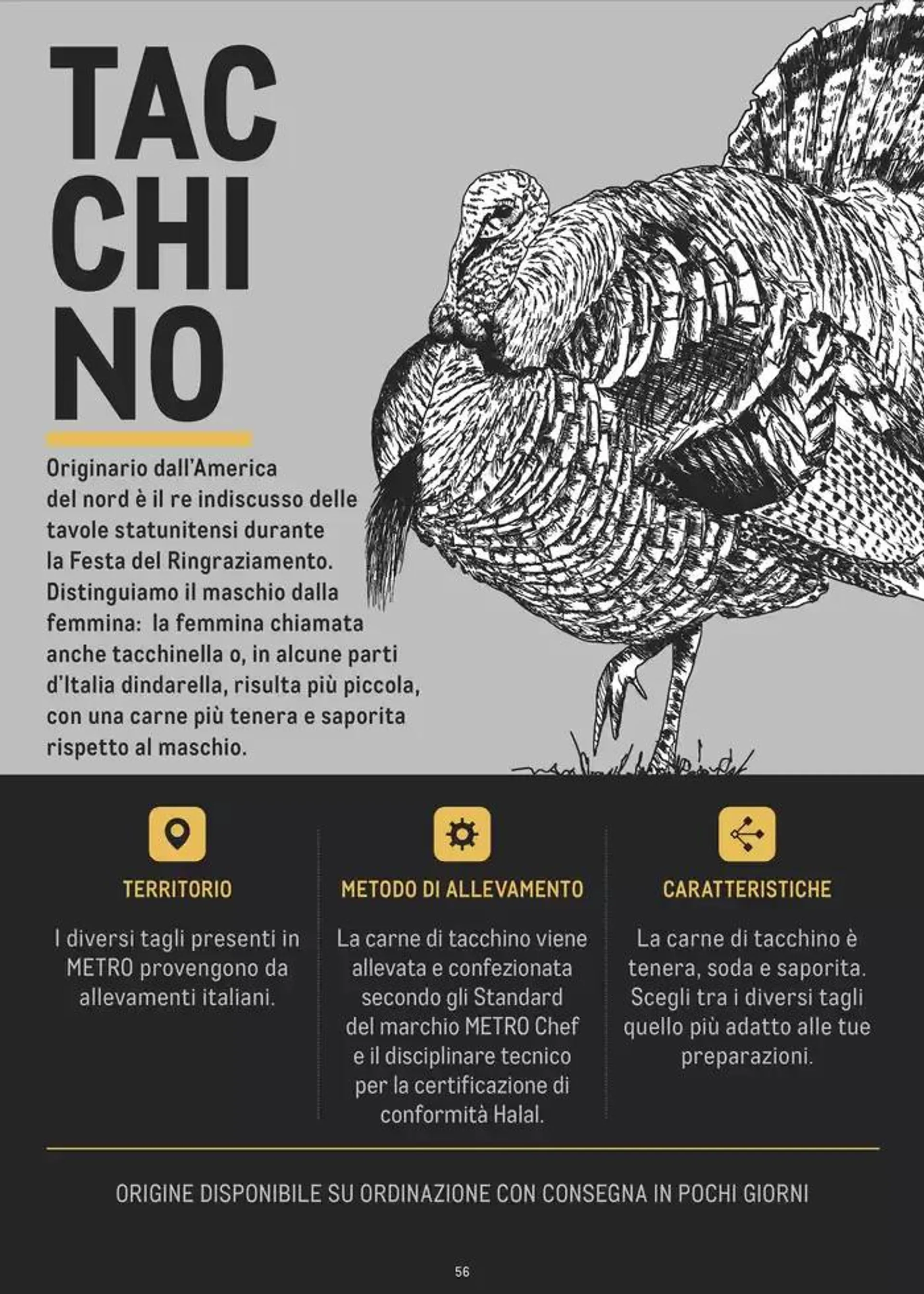CATALOGO CARNE 2024 da 2 gennaio a 31 agosto di 2025 - Pagina del volantino 56