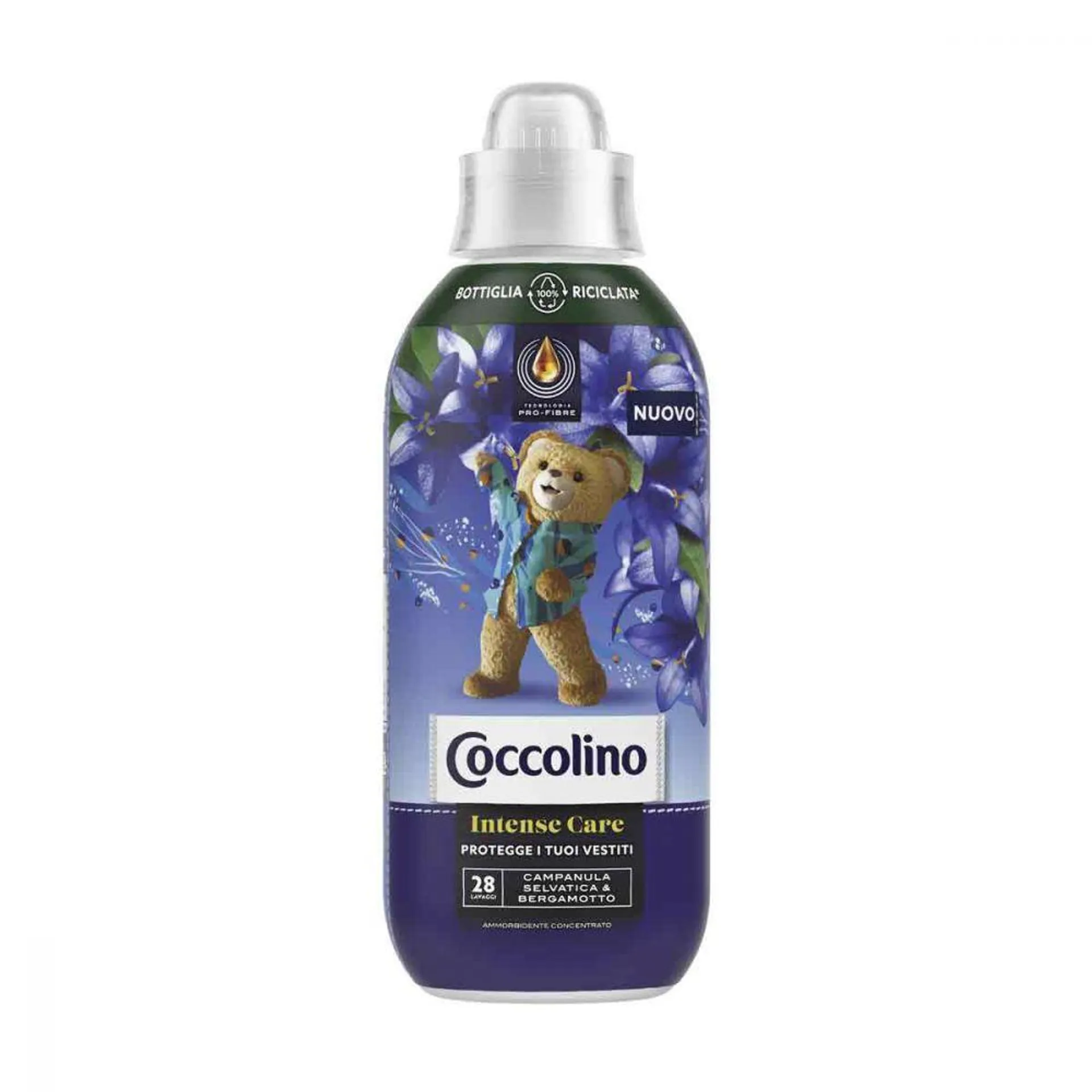 Coccolino Ammorbidente Campanula Selvatica 645 ml