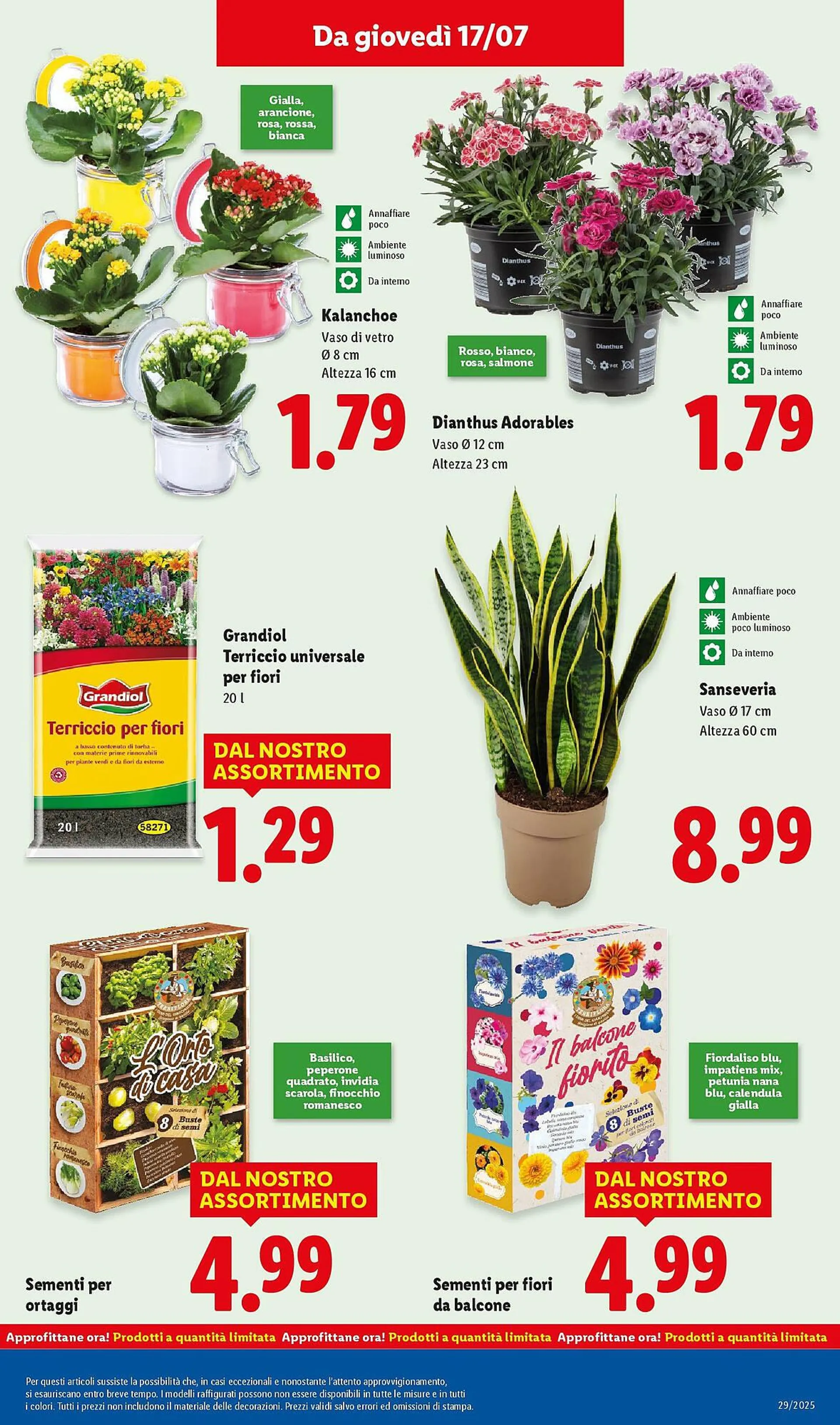 Volantino Lidl da 13 luglio a 20 luglio di 2025 - Pagina del volantino 35