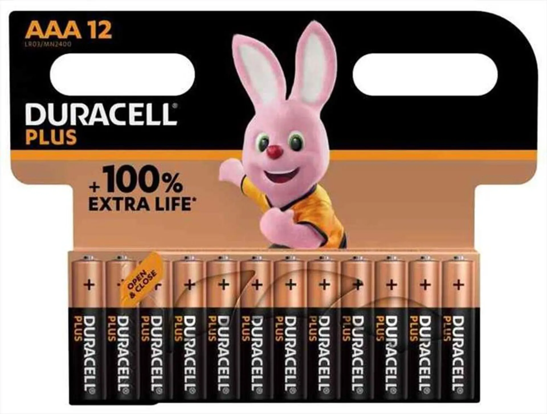 DURACELL - PLUS 100 MINISTILO AAA B12