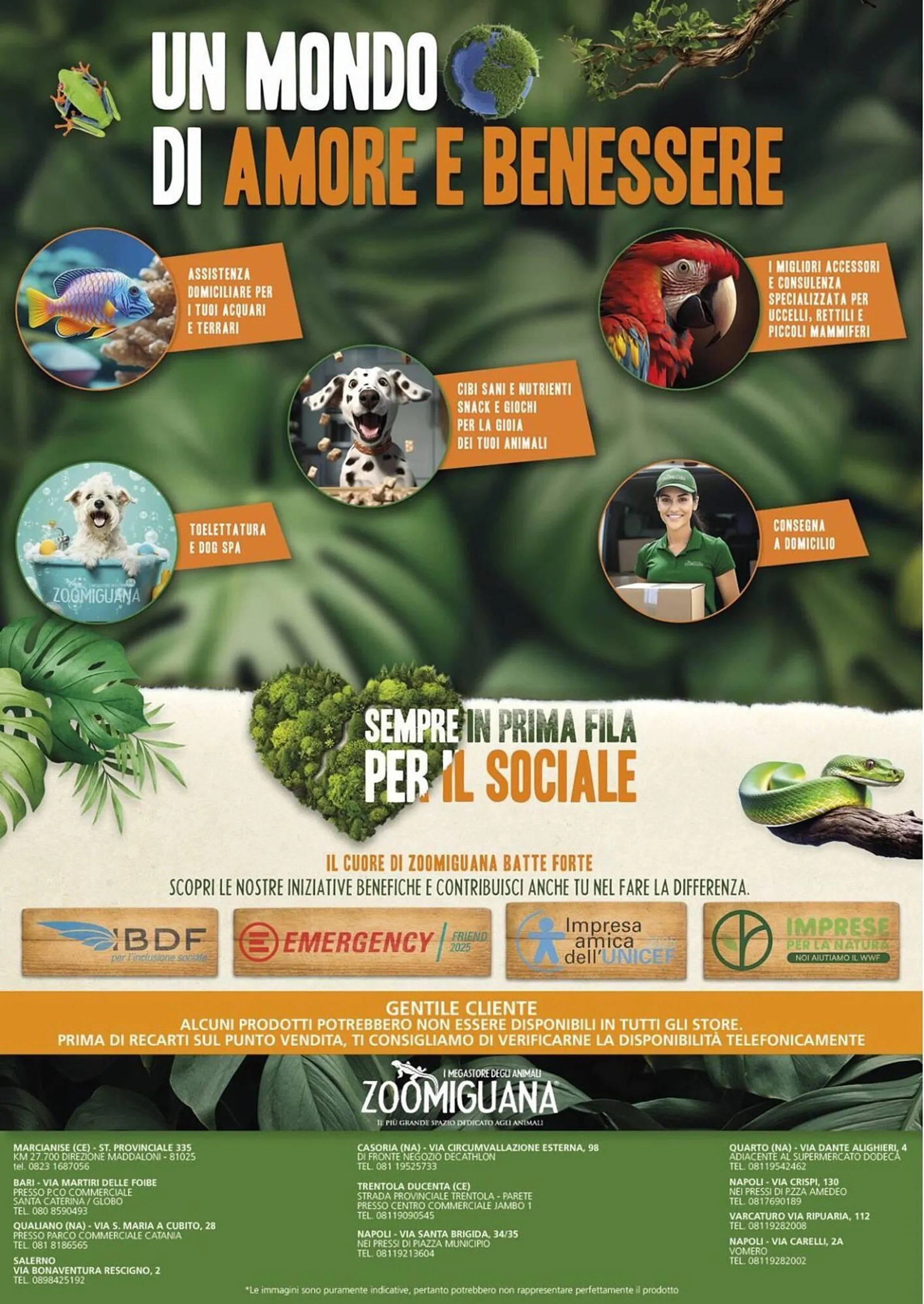 Volantino Zoomiguana da 8 maggio a 1 giugno di 2025 - Pagina del volantino 13