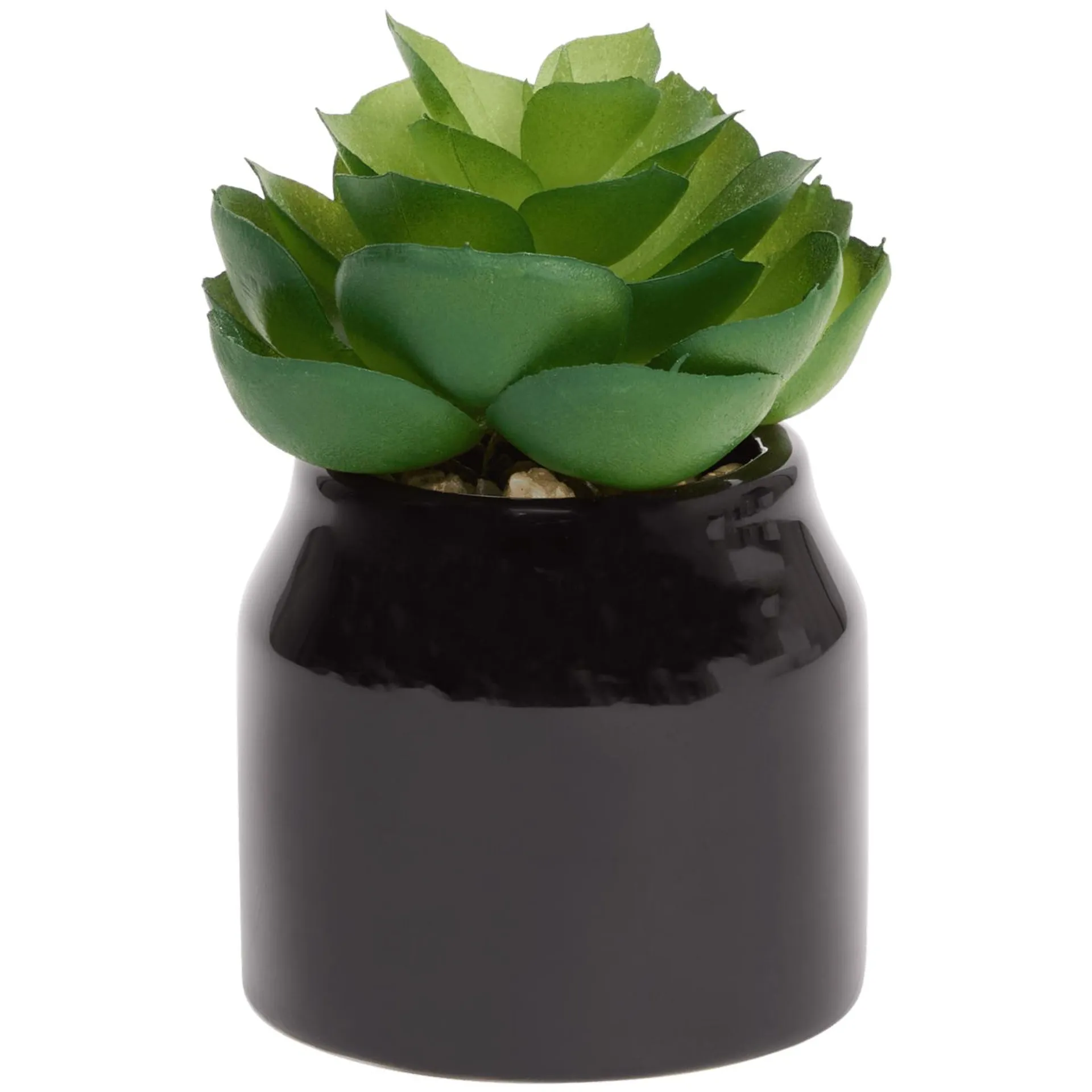 Pianta grassa finta in vaso Home Accents