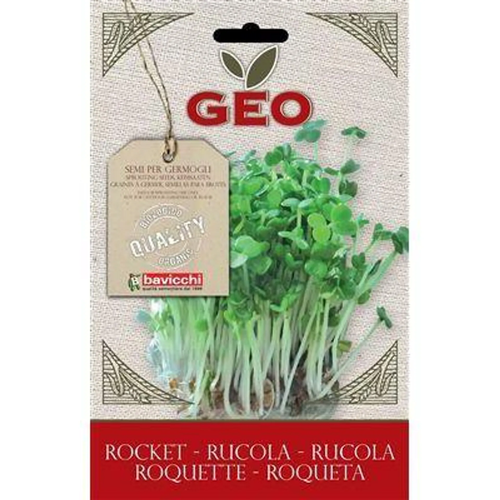 GERMOGLI - RUCOLA -