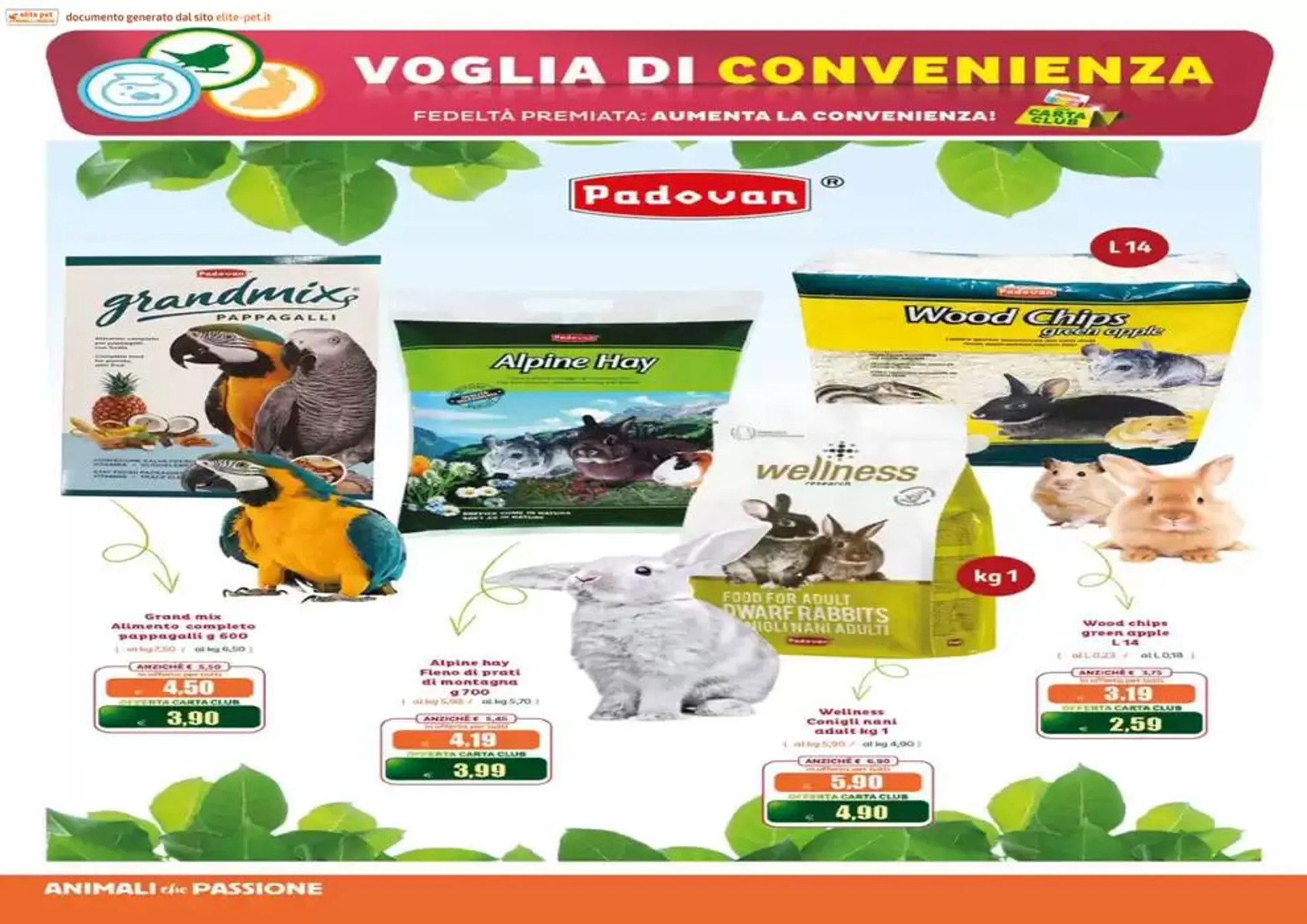 Profumo ... di offerte!  da 21 maggio a 8 giugno di 2025 - Pagina del volantino 14