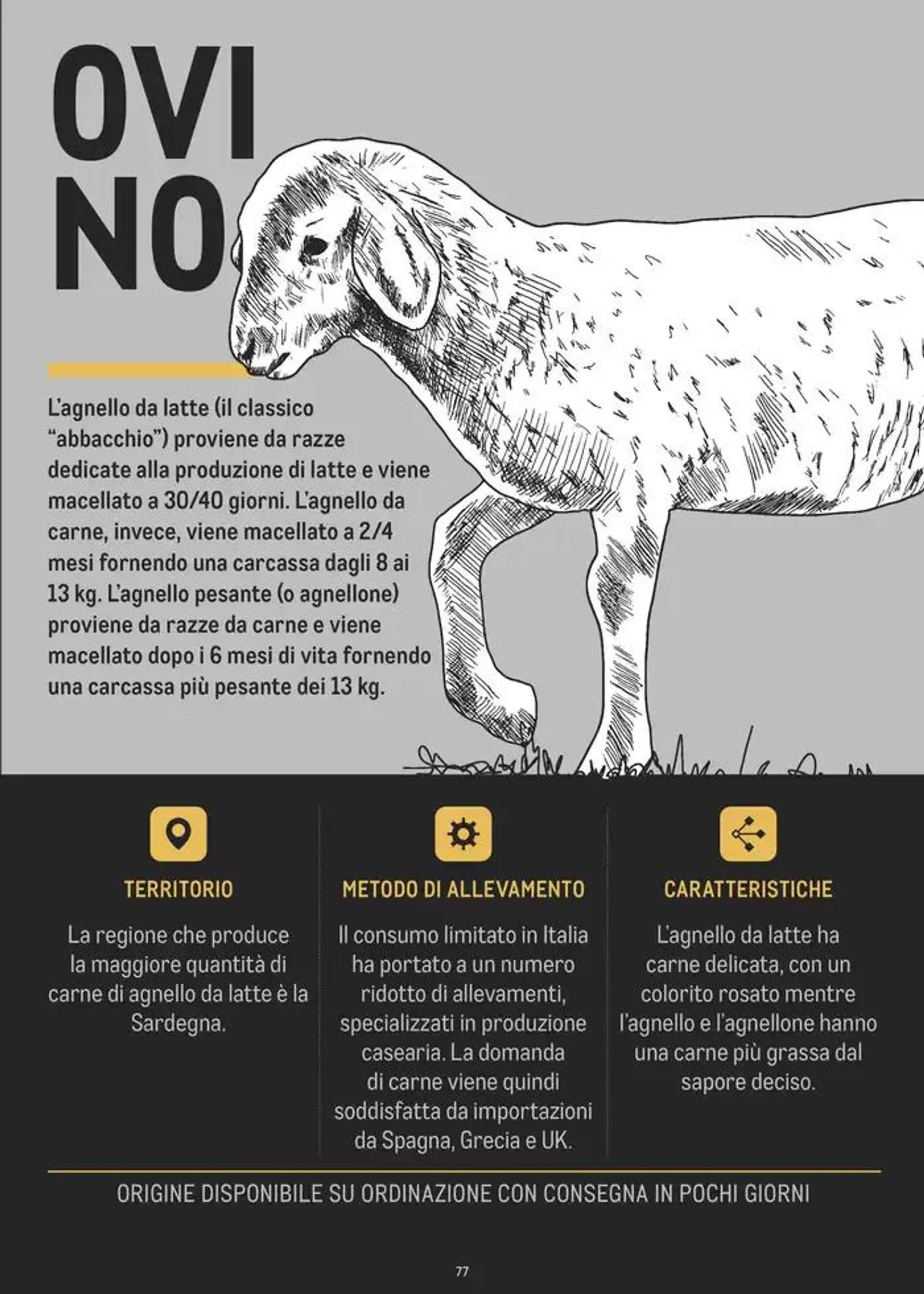 CATALOGO CARNE 2024 da 2 gennaio a 31 agosto di 2025 - Pagina del volantino 77