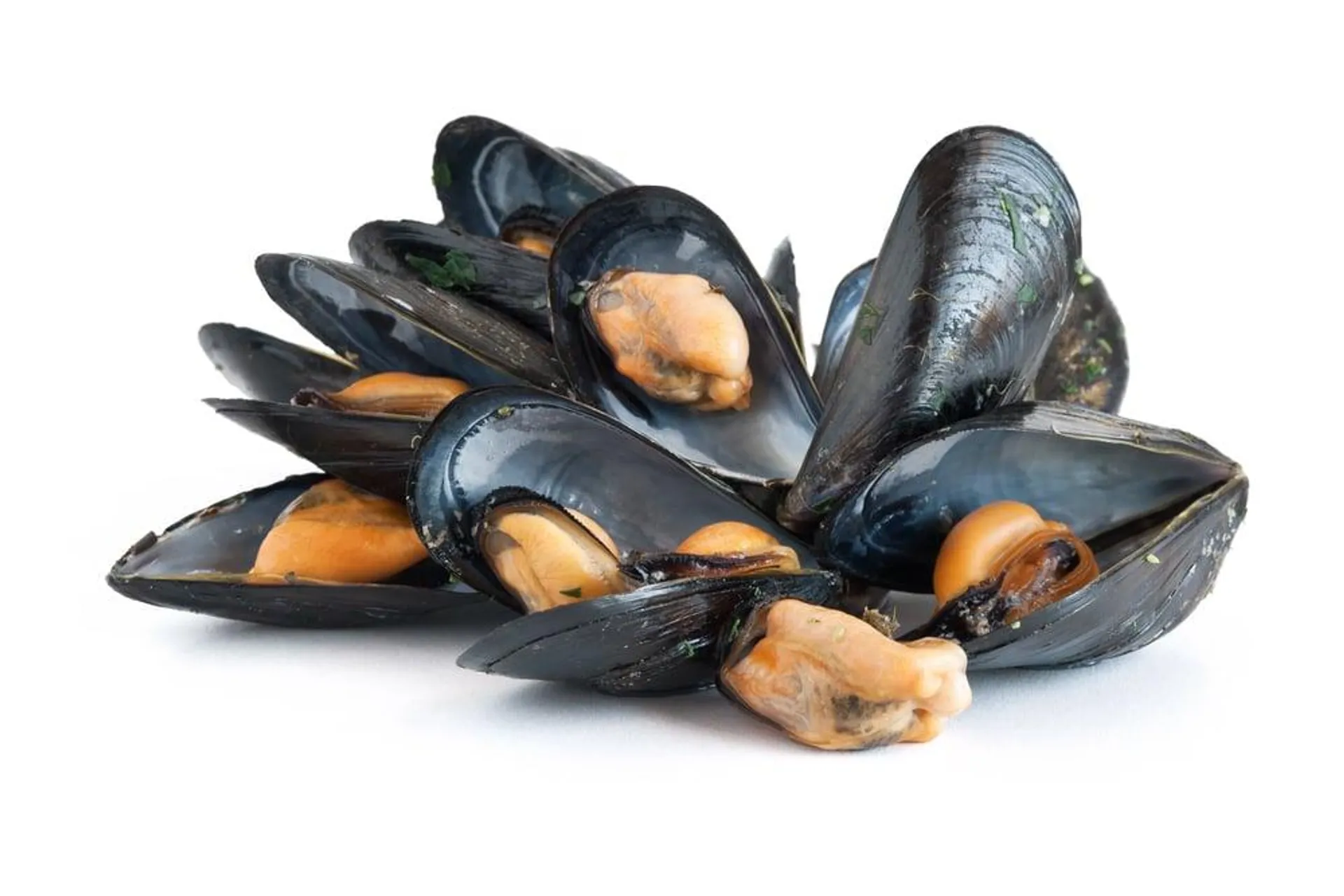 Filiera Qualità Carrefour Cozze rete