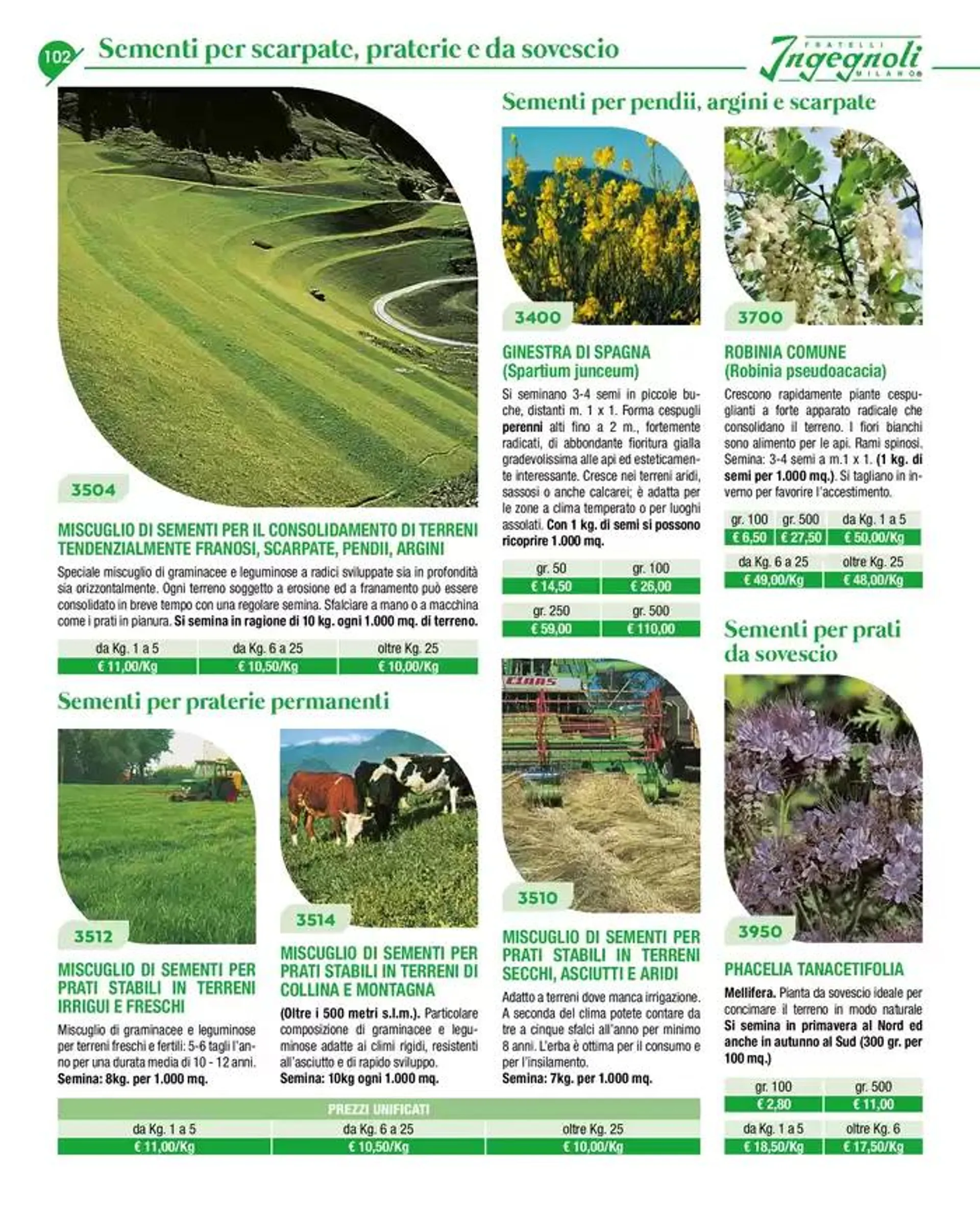 Novita 2025 da 4 novembre a 31 dicembre di 2025 - Pagina del volantino 93