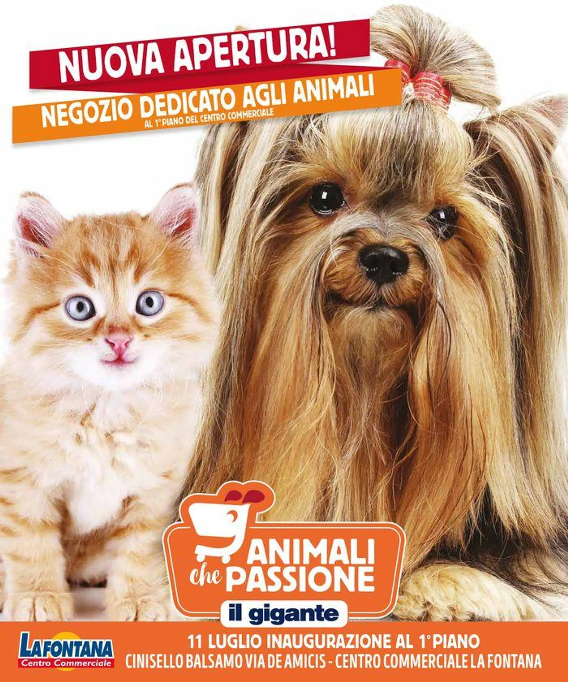 Animali che passione - 1