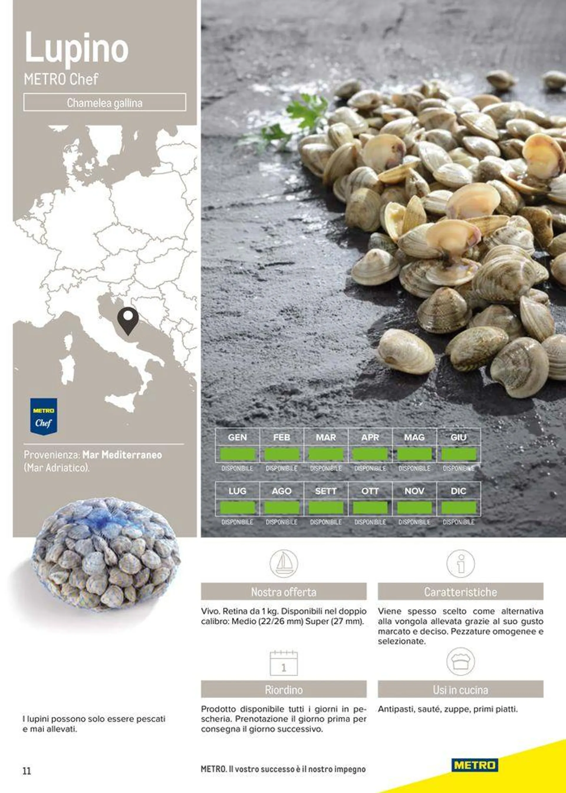 Catalogo Frutti di mare da 11 luglio a 31 luglio di 2025 - Pagina del volantino 11