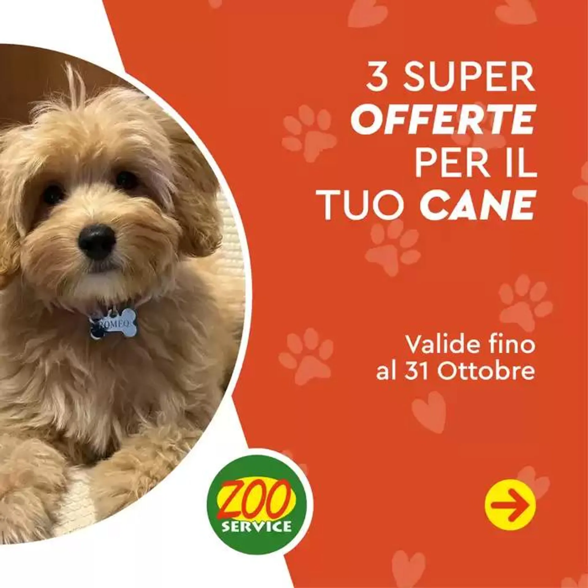 3 super offerte per il tua cane - 1