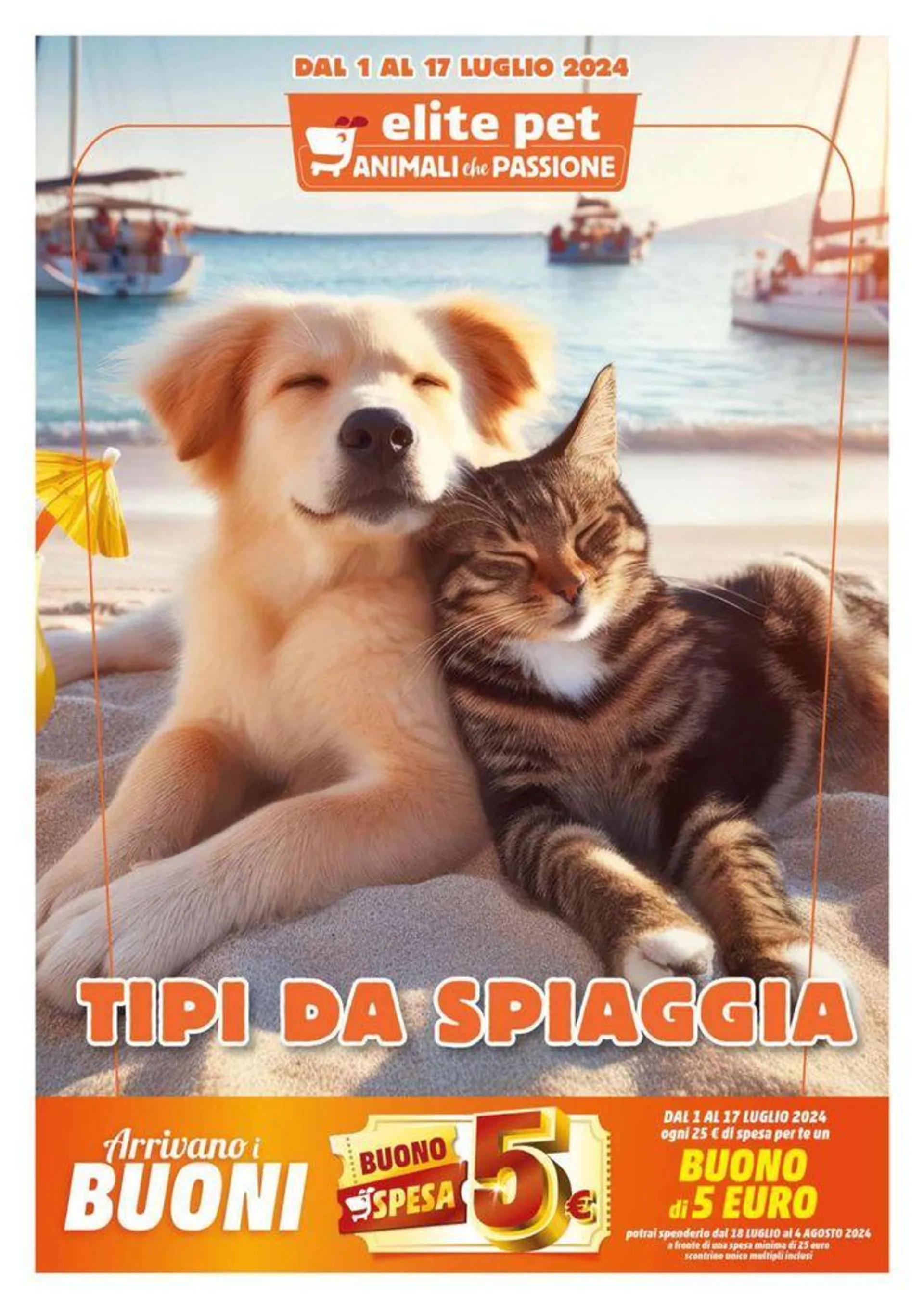 Tipi da spiaggia - 1