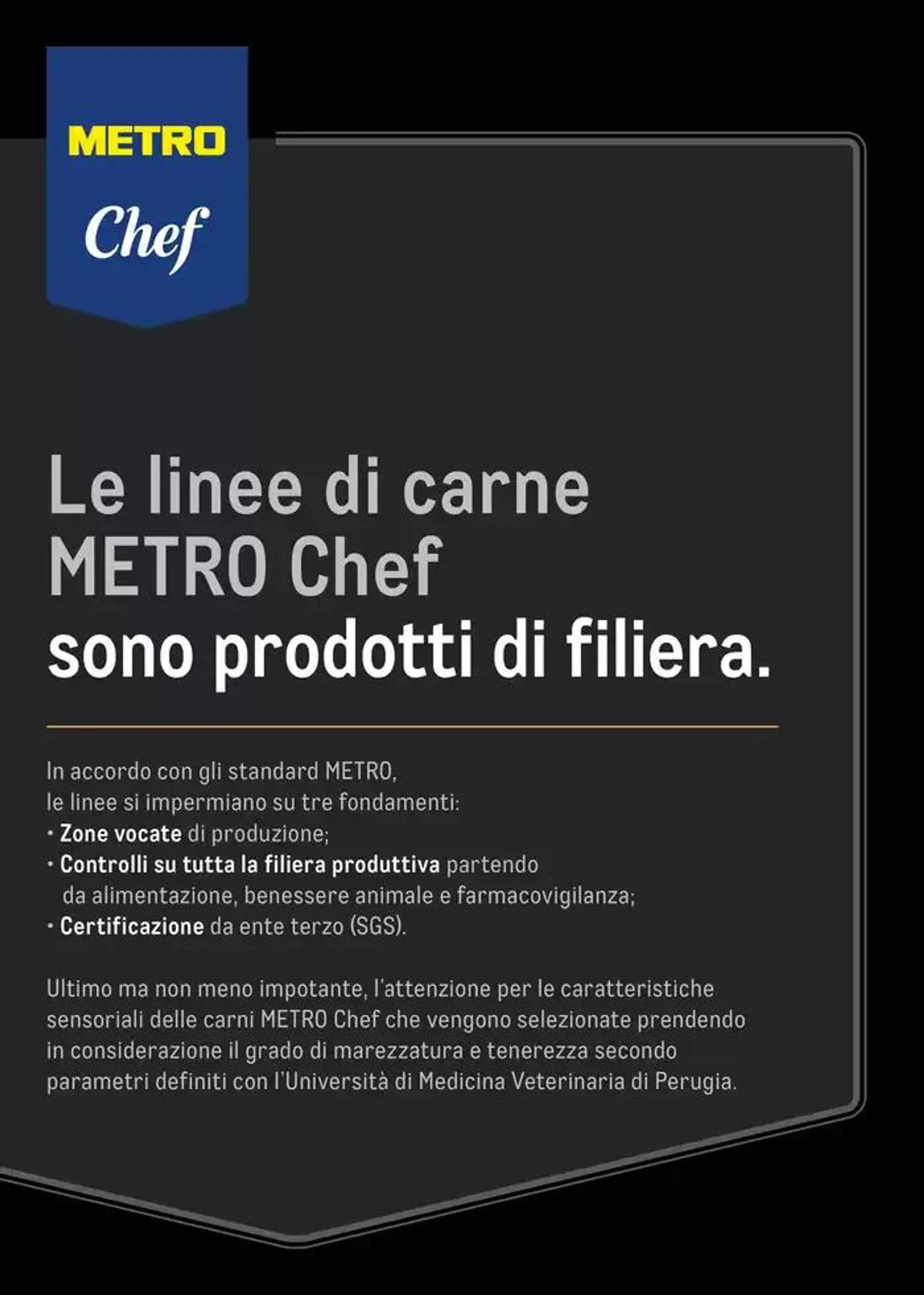 CATALOGO CARNE 2024 da 2 gennaio a 31 agosto di 2025 - Pagina del volantino 13