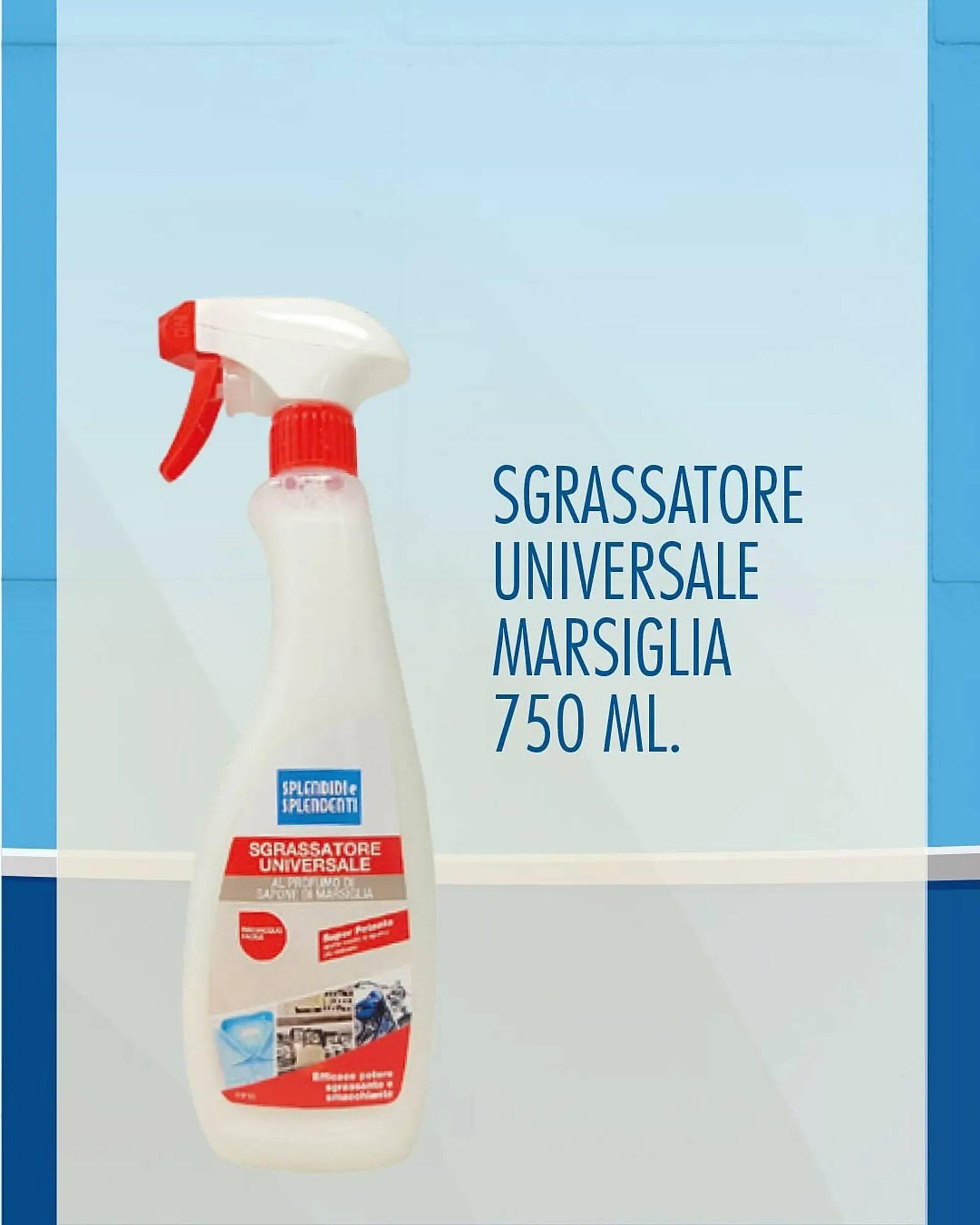 Volantino Splendidi e Splendenti - 1