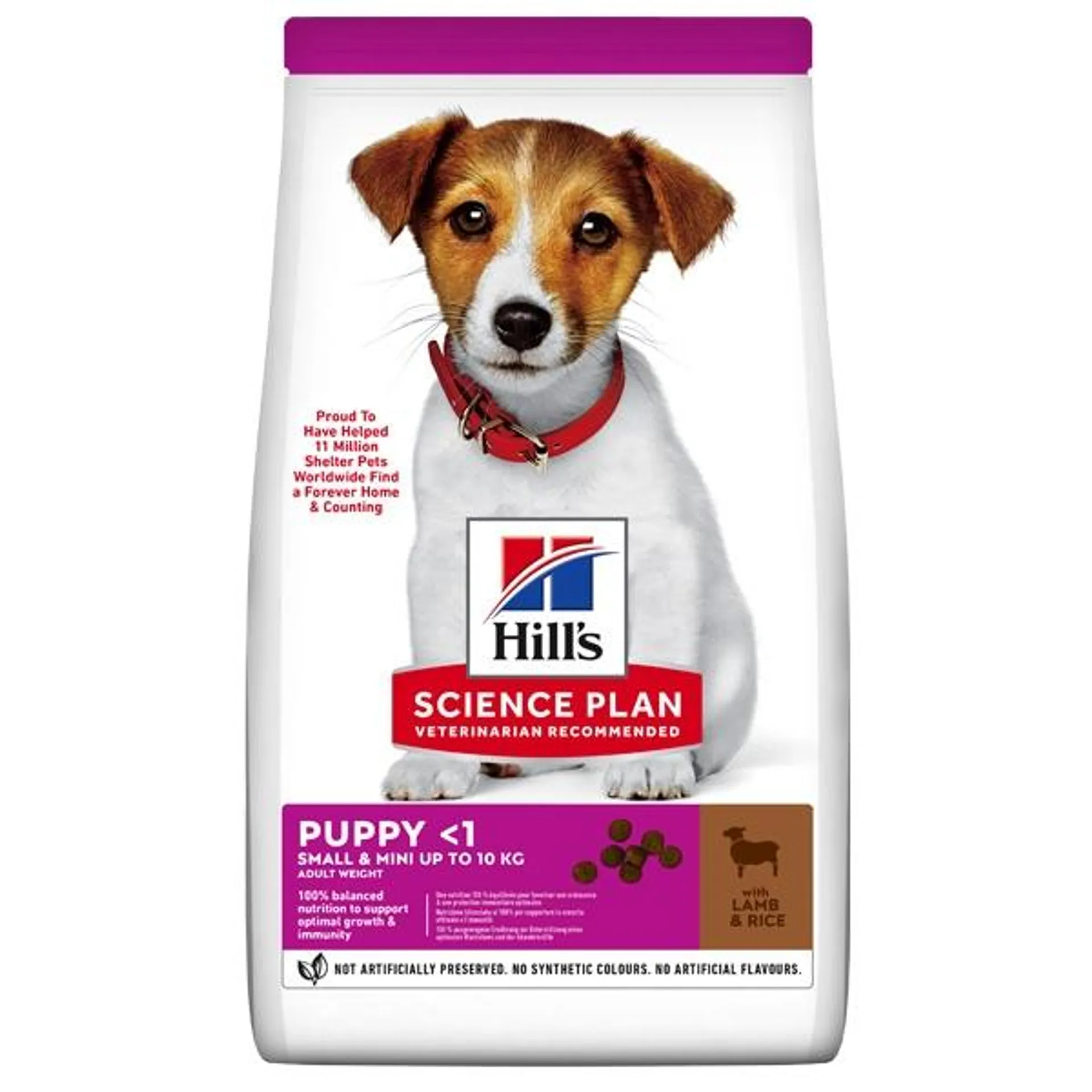 Hill's Pet Nutrition - Science Plan Small & Mini Puppy con Agnello con Riso