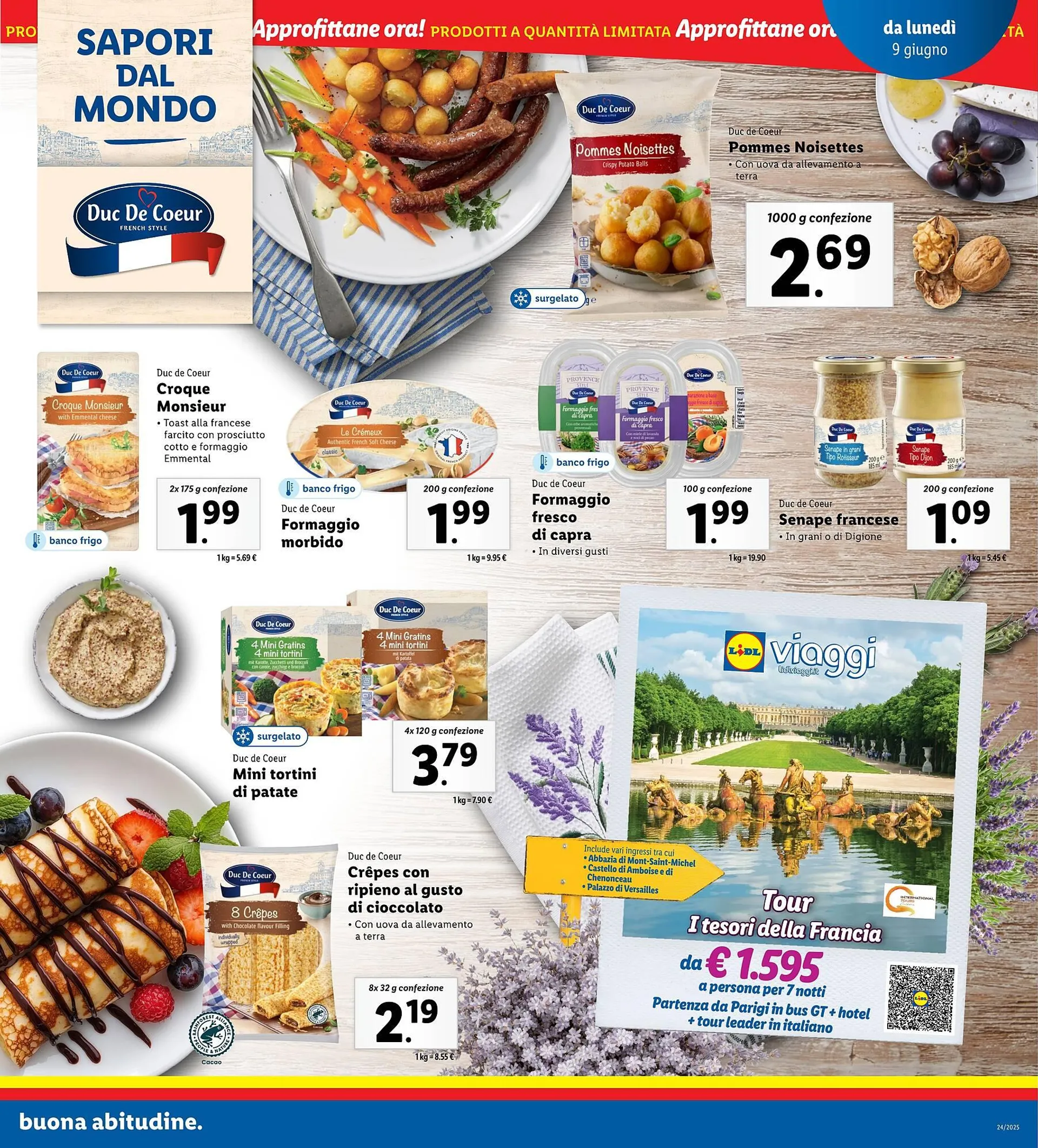 Volantino Lidl da 9 giugno a 15 giugno di 2025 - Pagina del volantino 17