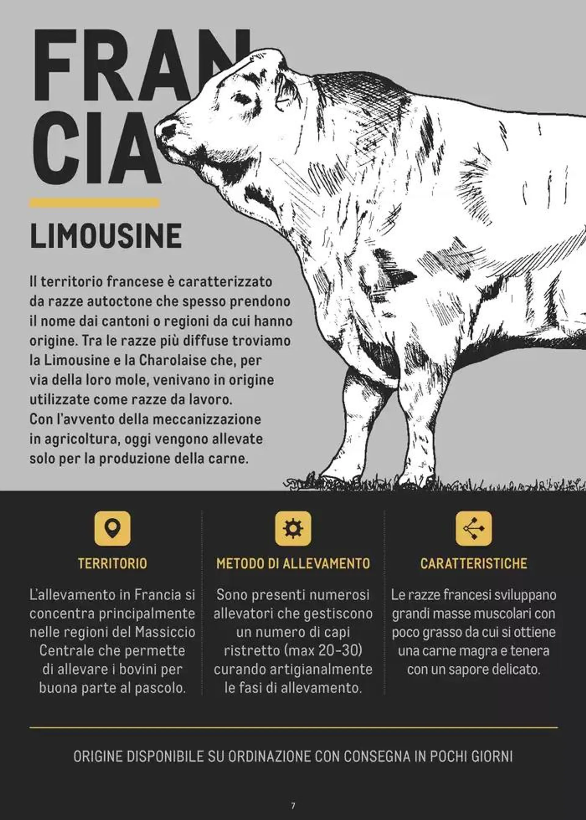 CATALOGO CARNE 2024 da 2 gennaio a 31 agosto di 2025 - Pagina del volantino 7