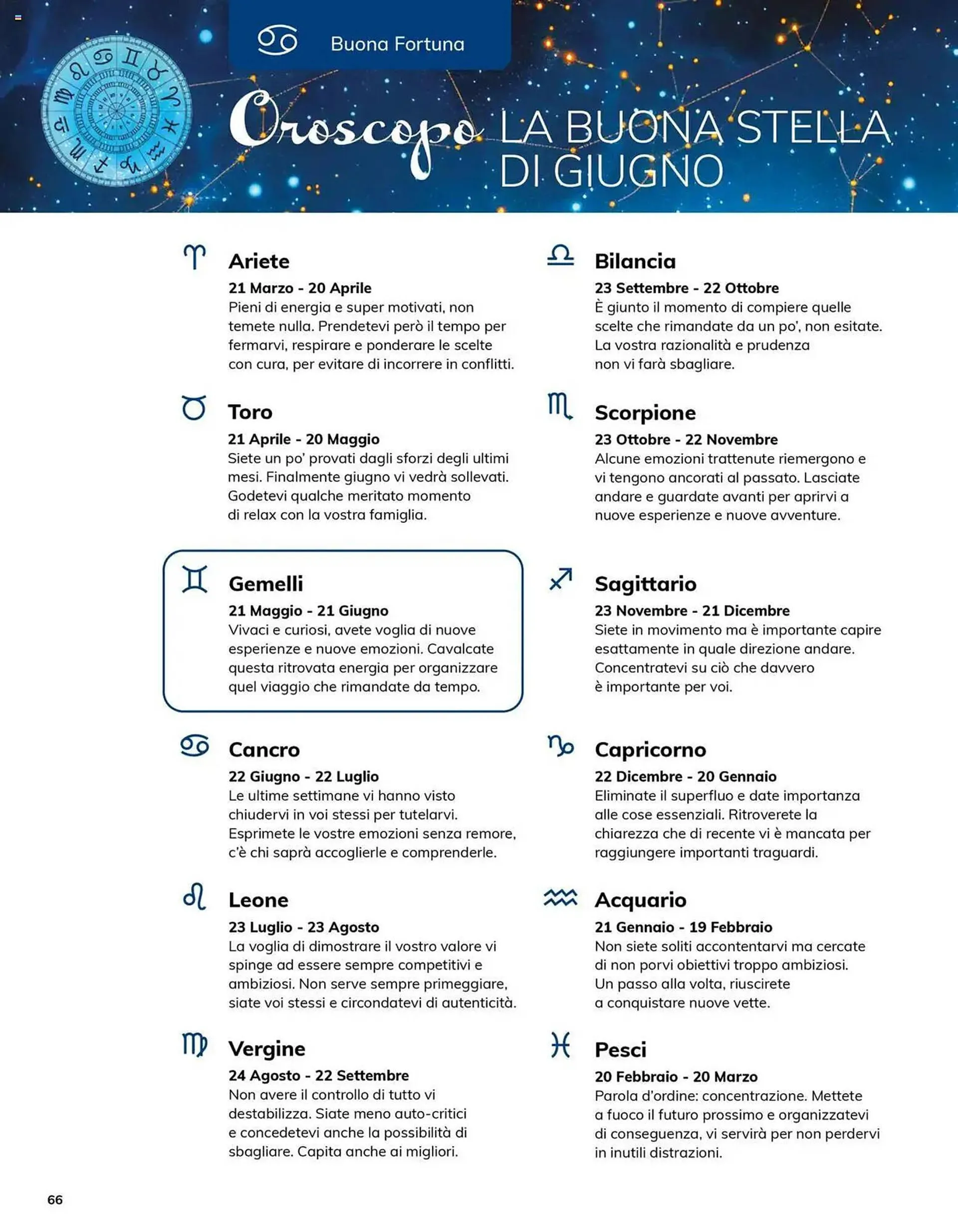 Volantino Basko da 23 giugno a 30 giugno di 2025 - Pagina del volantino 66