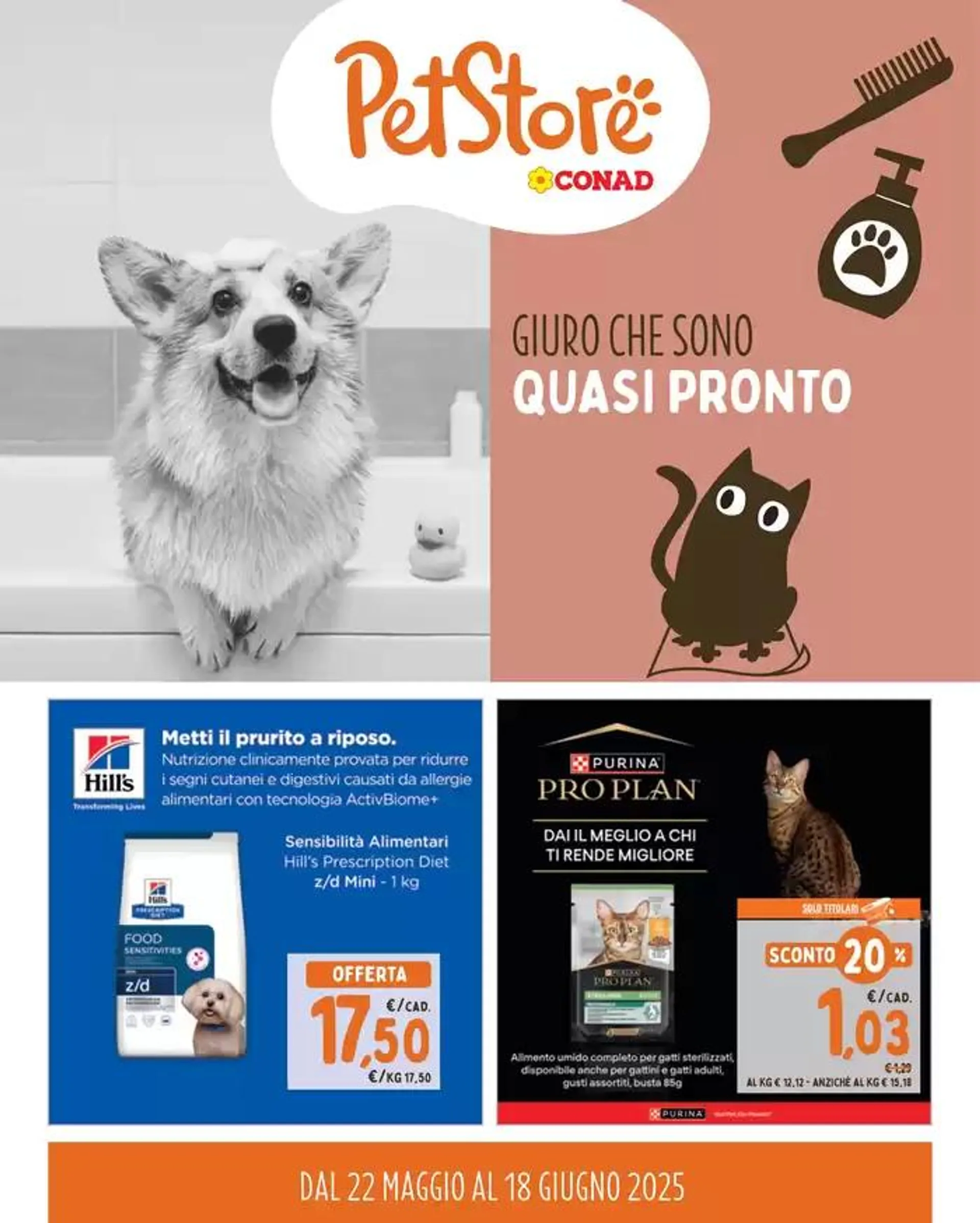Giuro che sono quasi pronto - 1