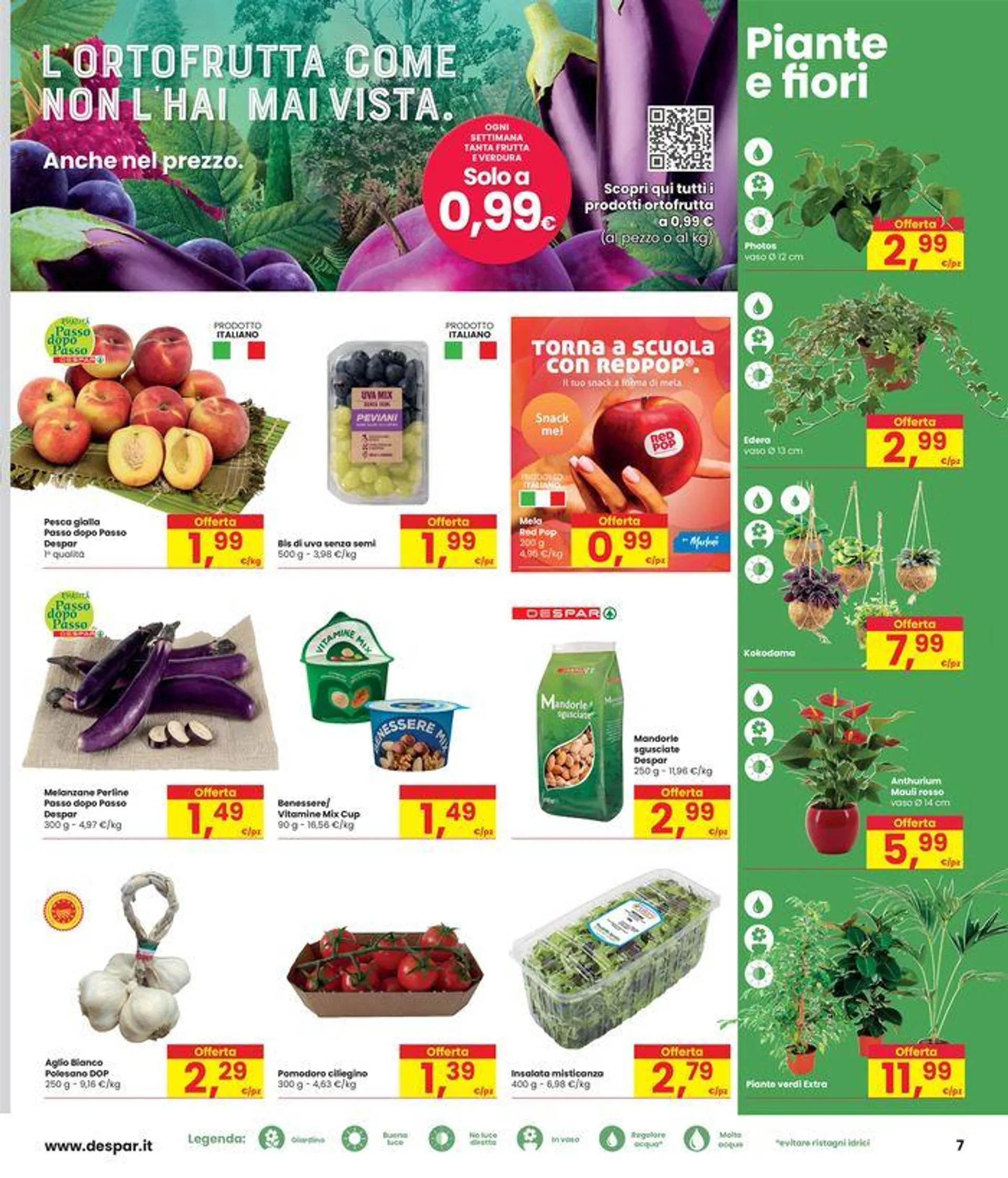 Sconti del 20-30-40% da 29 agosto a 11 settembre di 2024 - Pagina del volantino 7