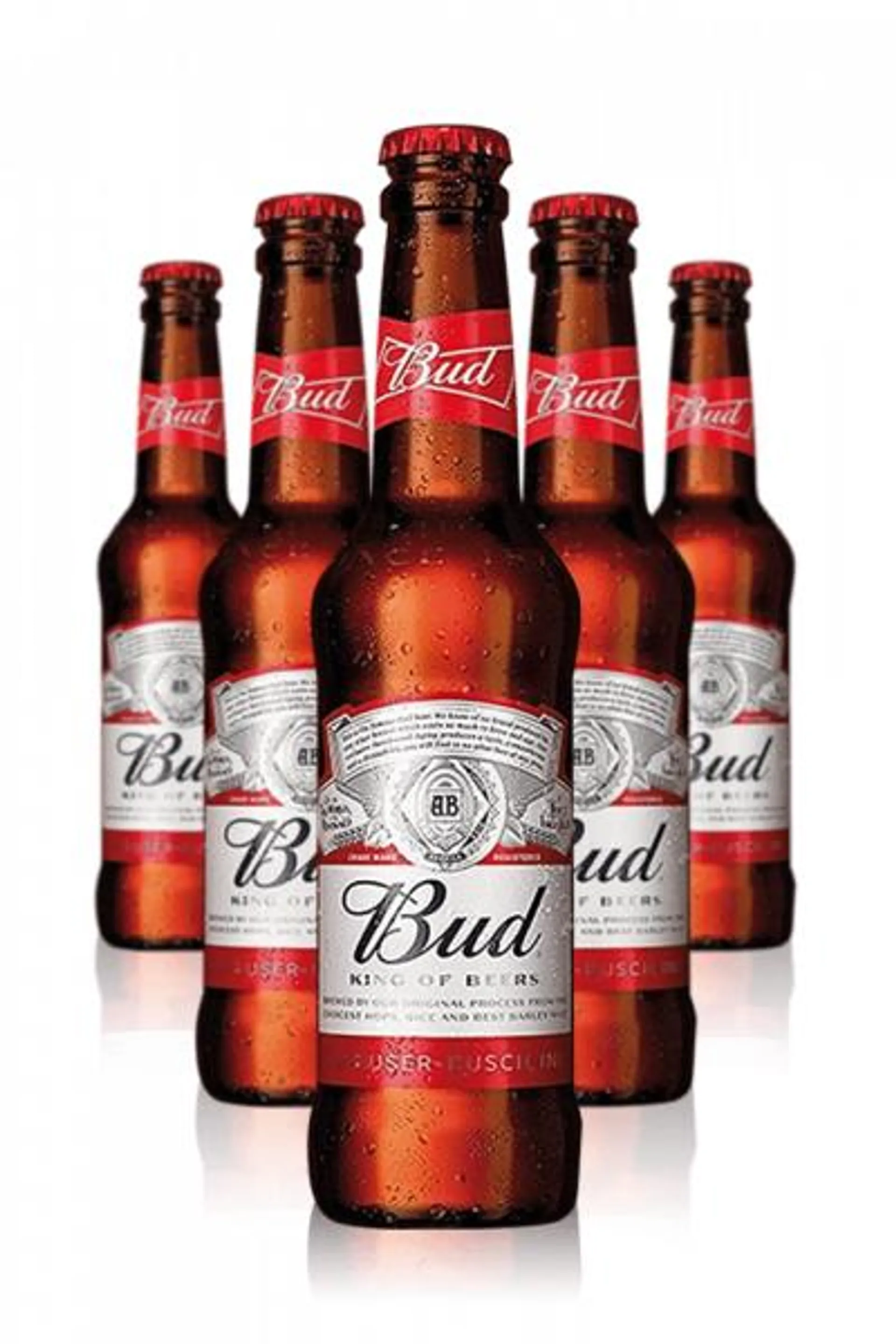 Budweiser Cassa da 24 bottiglie x 33cl