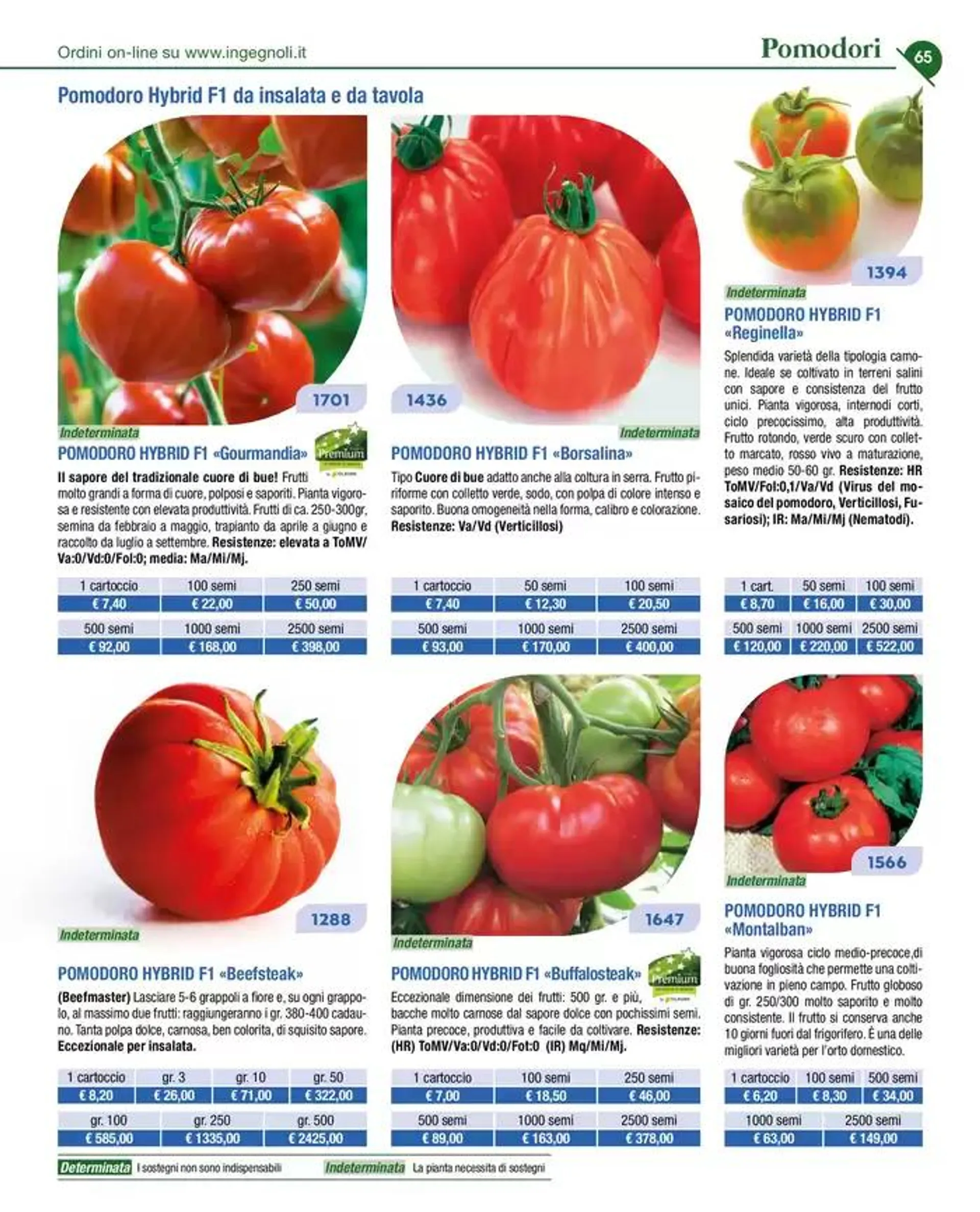 Novita 2025 da 4 novembre a 31 dicembre di 2025 - Pagina del volantino 64