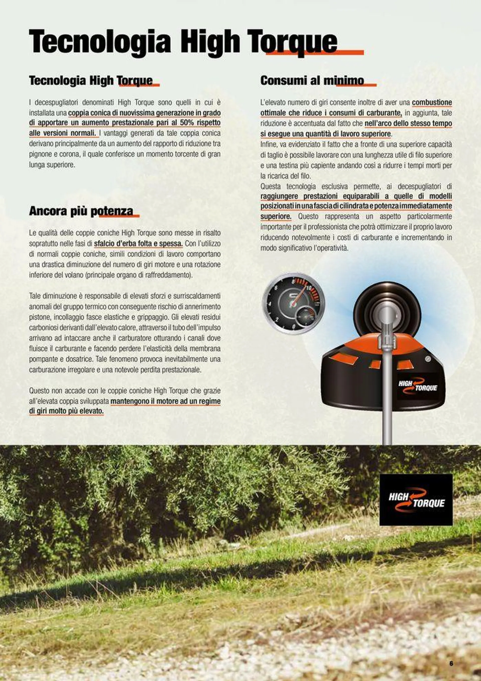 Catalogo generale - 7