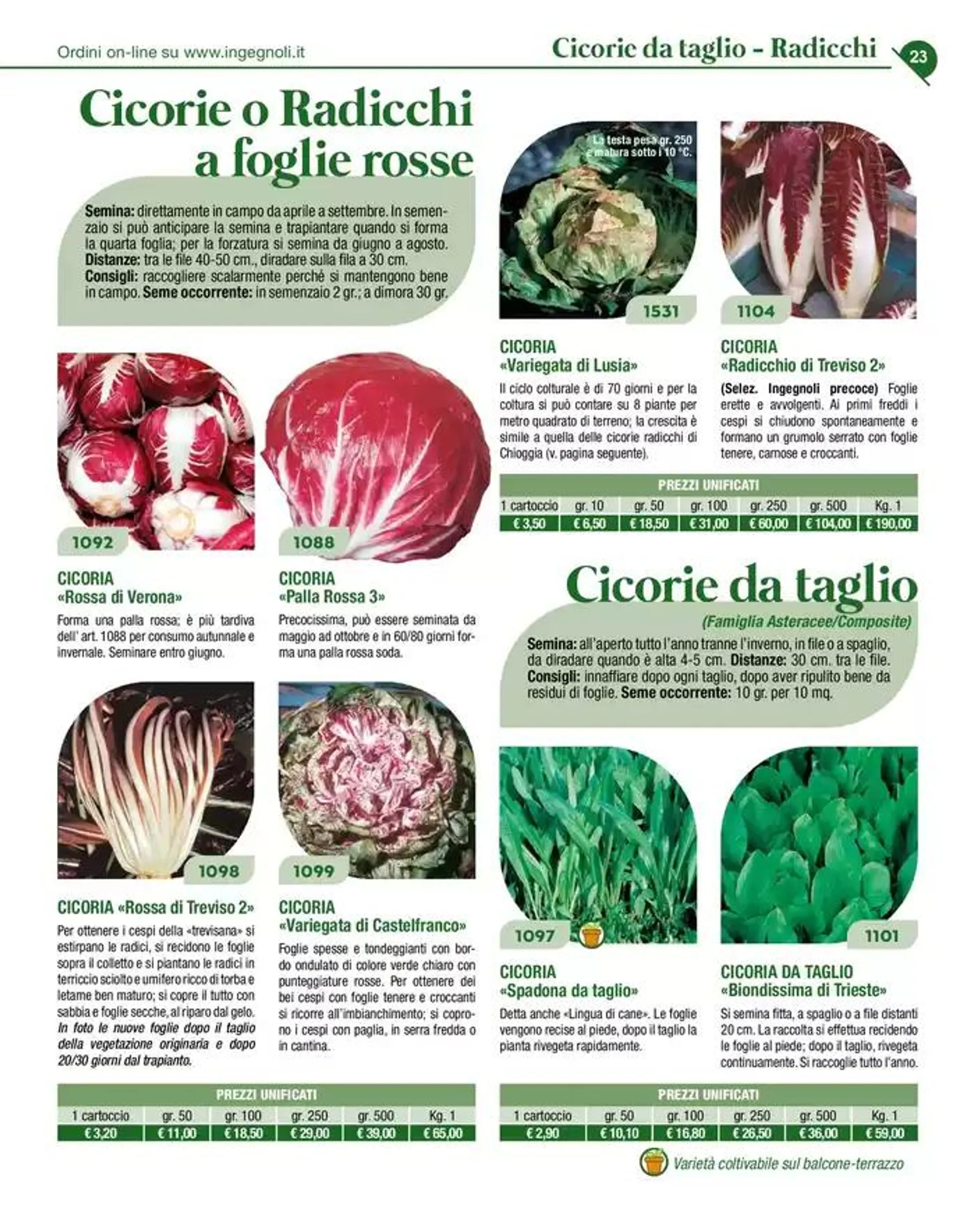 Novita 2025 da 4 novembre a 31 dicembre di 2025 - Pagina del volantino 22