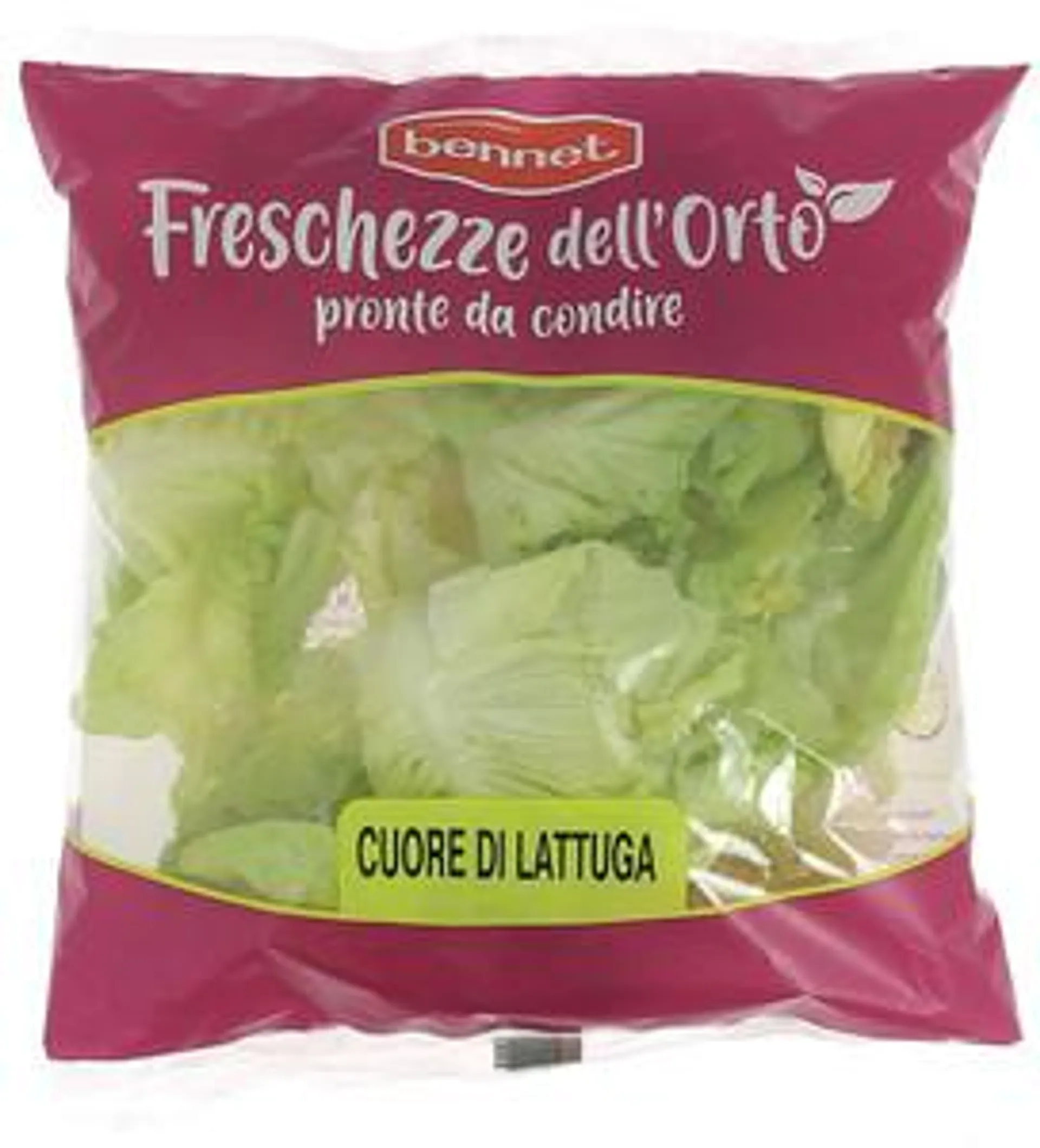 Insalata Cuore Di Lattuga Bennet