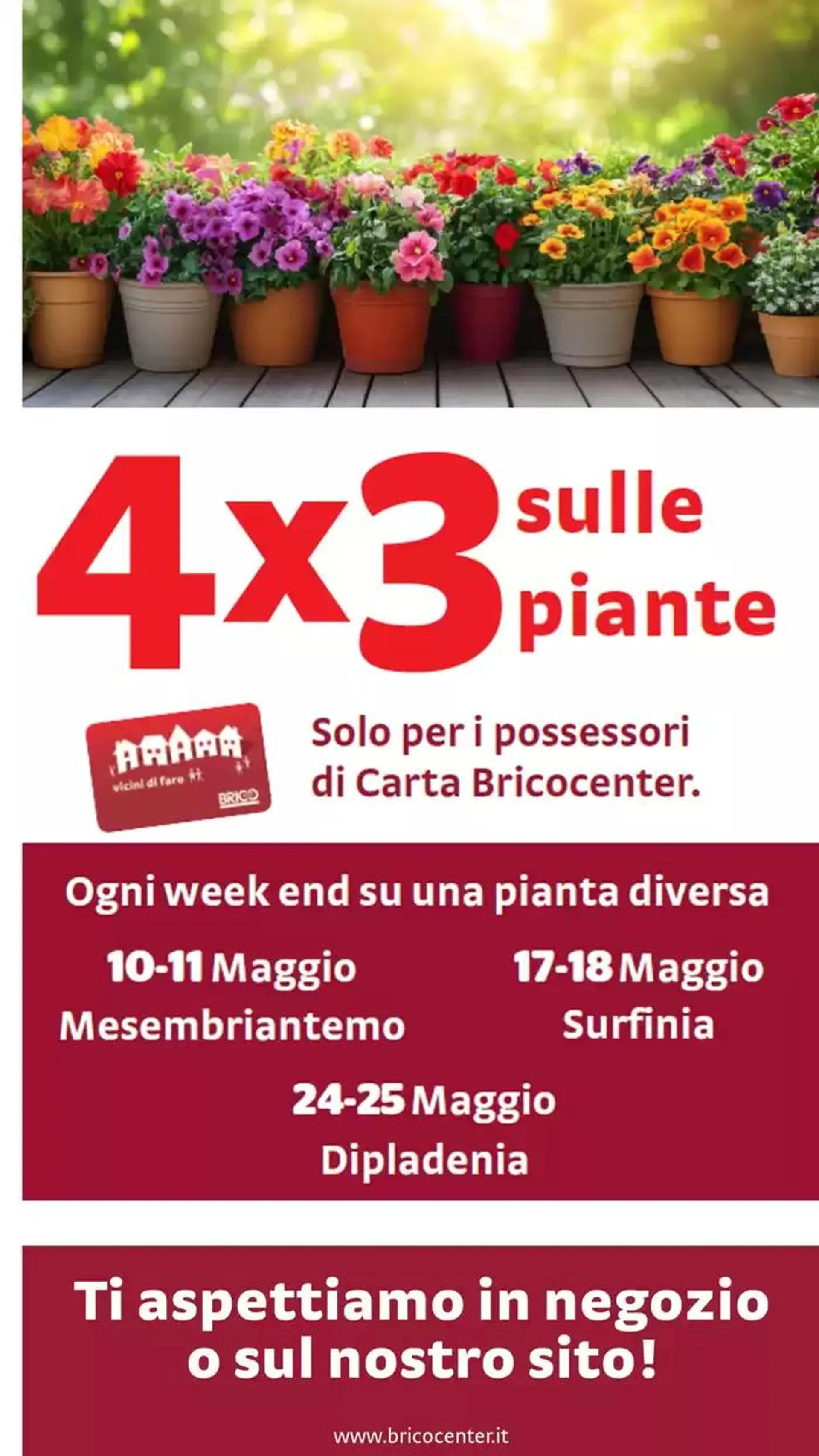 Fare e rinnovare da 8 maggio a 2 giugno di 2025 - Pagina del volantino 33