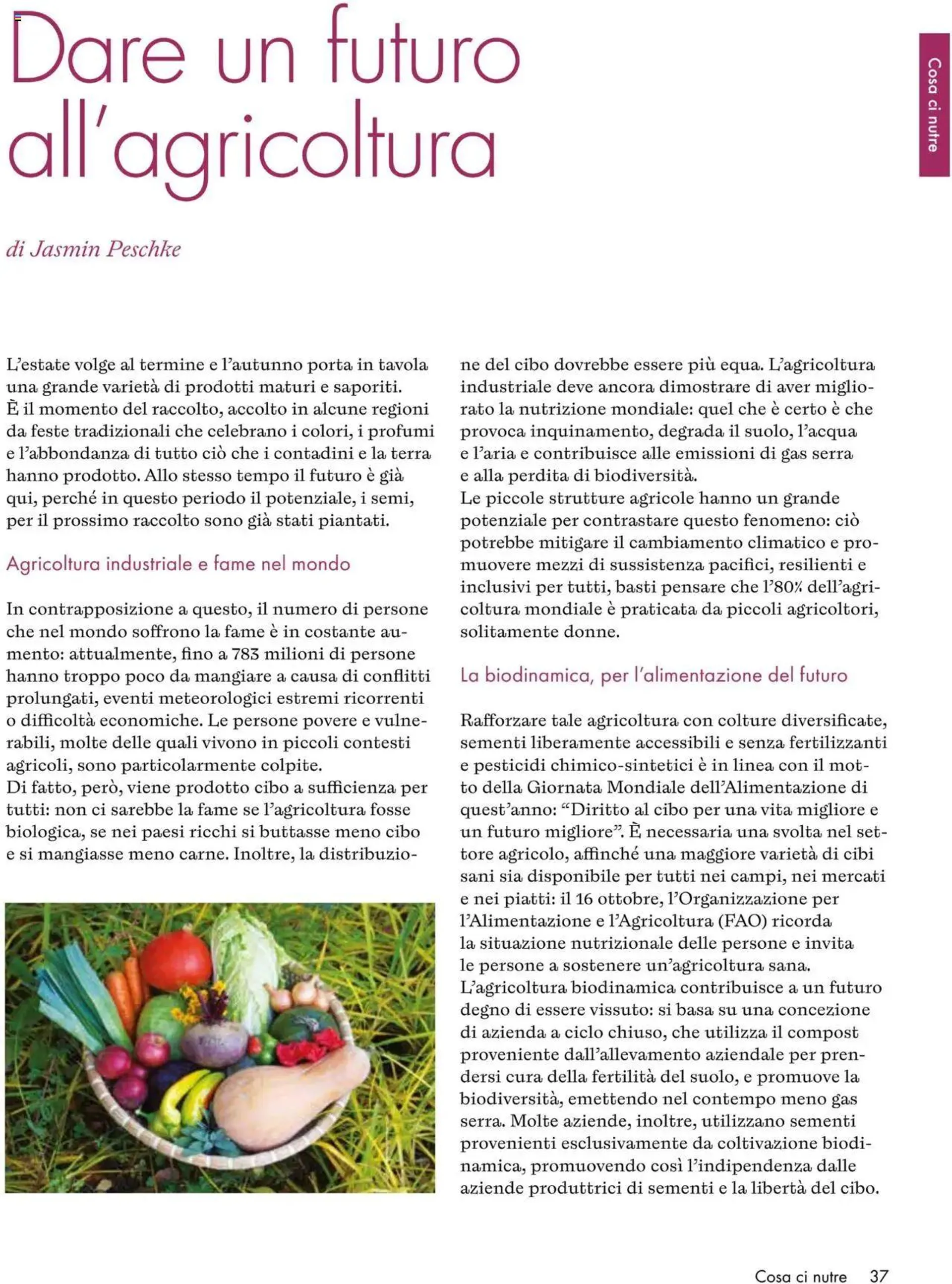 Magazine Settembre - Ottobre Natura Sì da 1 settembre a 31 ottobre di 2024 - Pagina del volantino 37