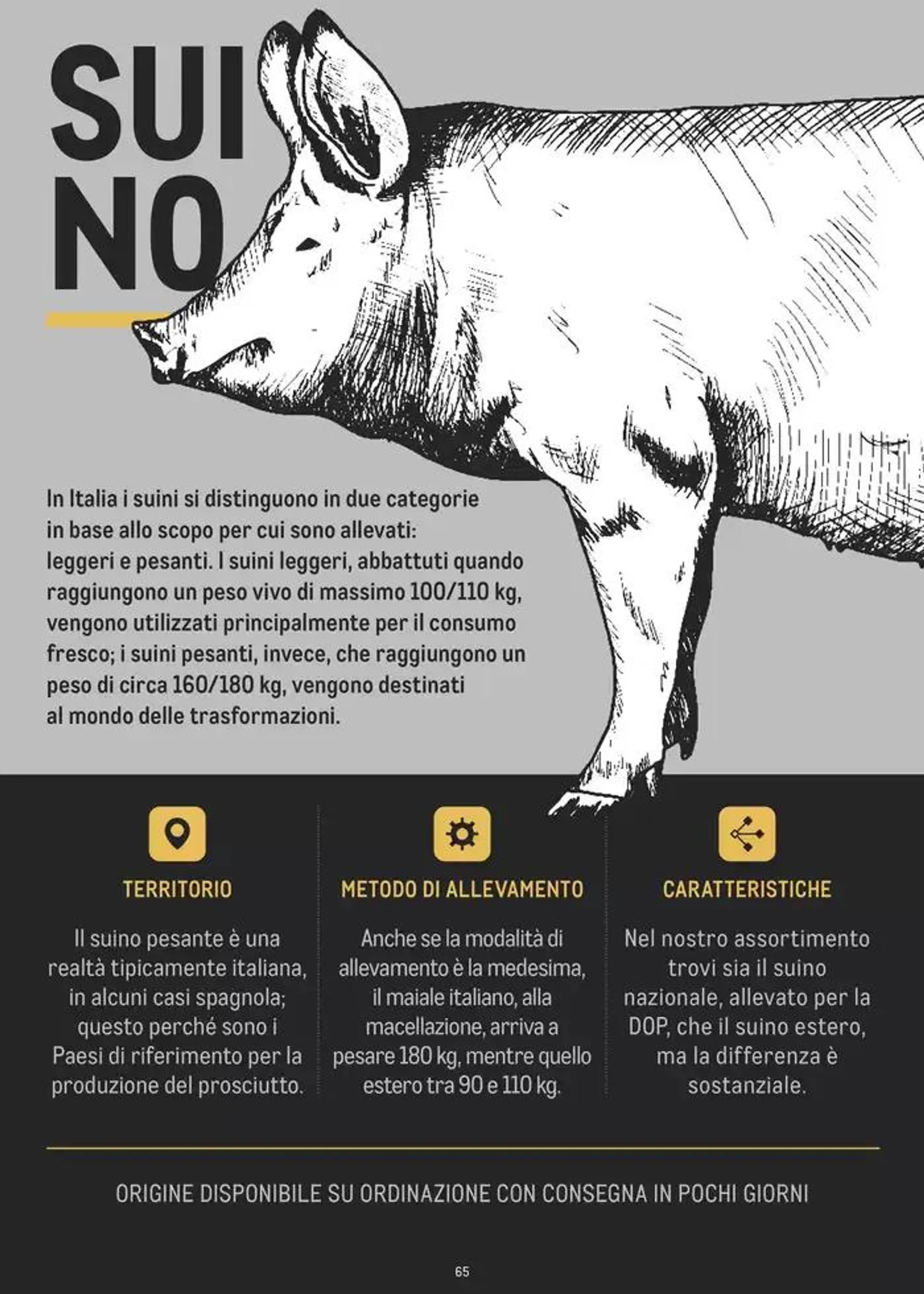 CATALOGO CARNE 2024 da 2 gennaio a 31 agosto di 2025 - Pagina del volantino 65
