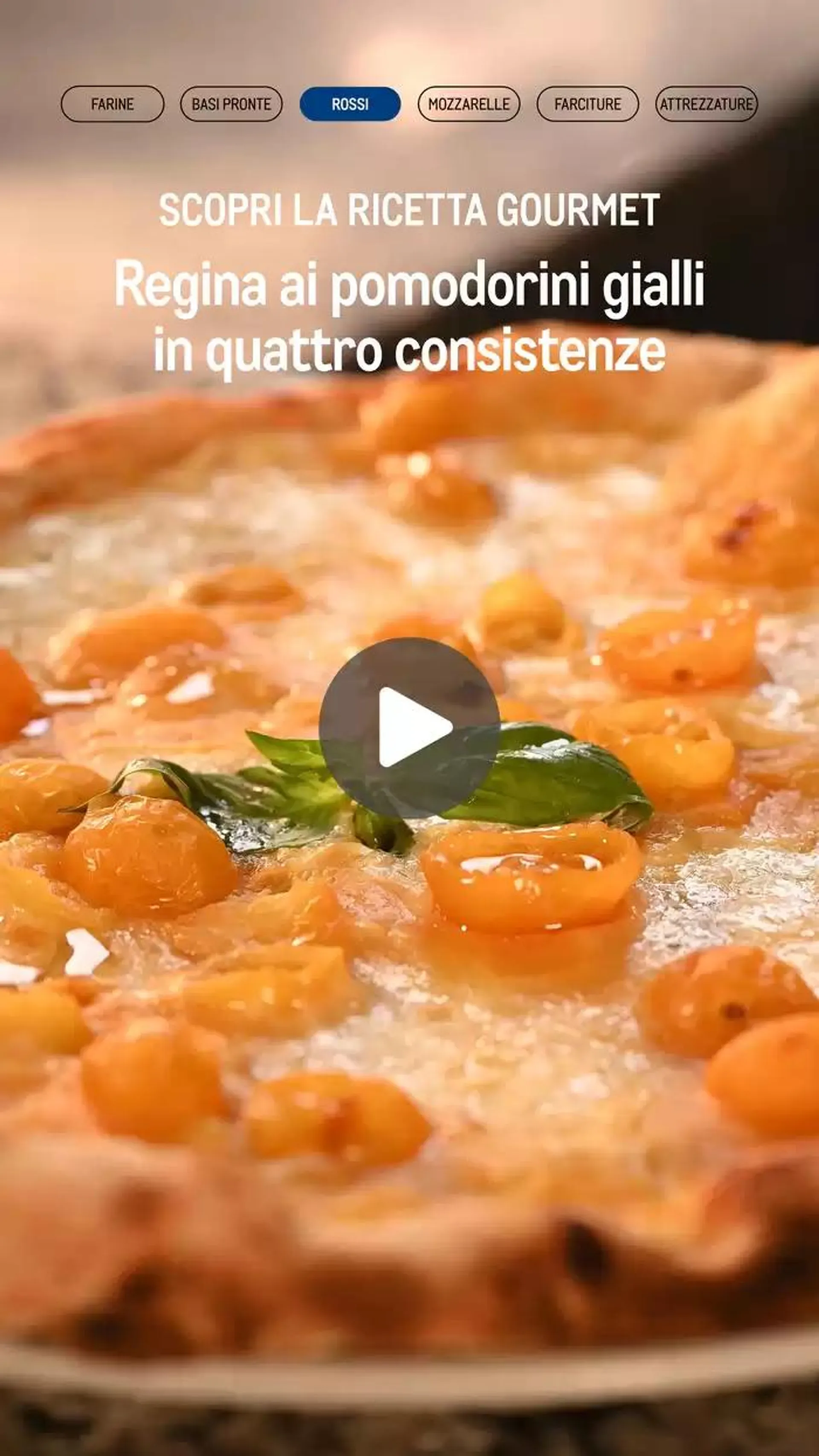 Catalogo Pizza & Gourment da 24 gennaio a 31 dicembre di 2025 - Pagina del volantino 13
