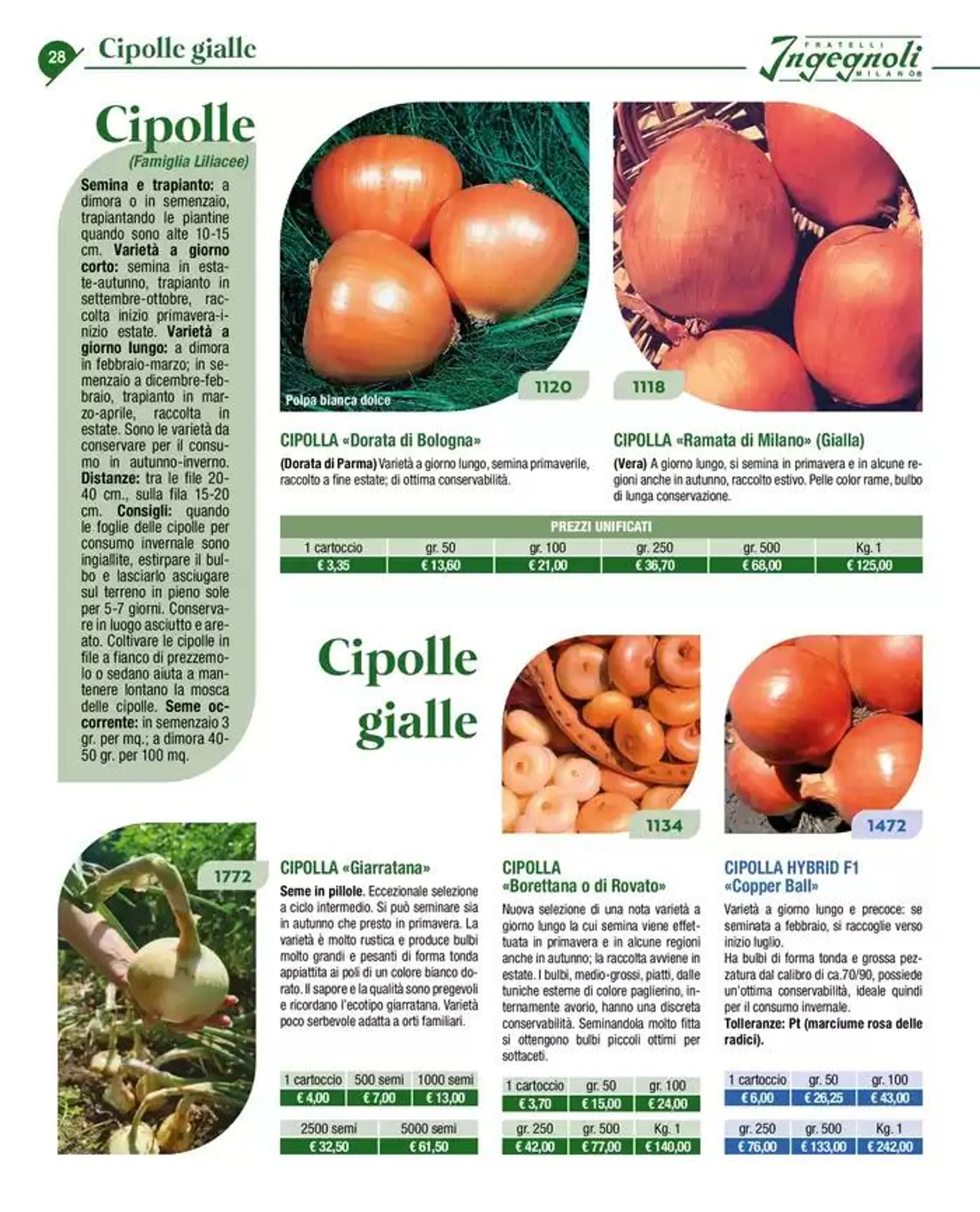 Novita 2025 da 4 novembre a 31 dicembre di 2025 - Pagina del volantino 27