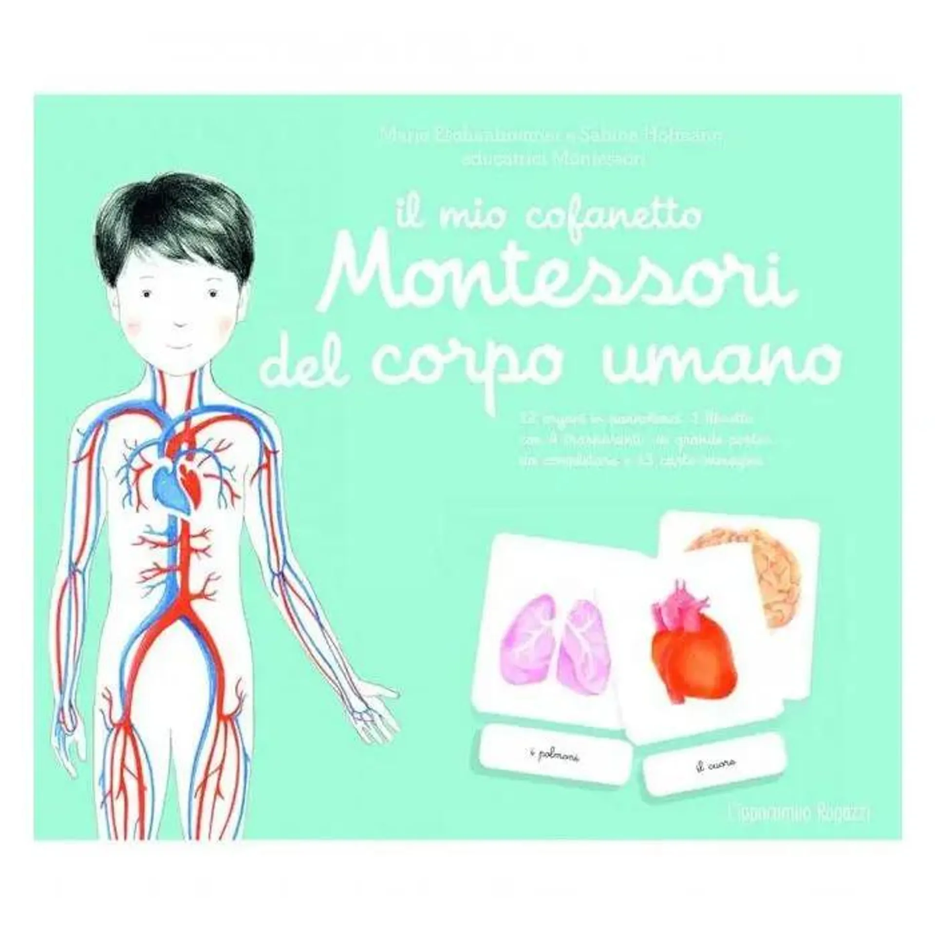 Il mio cofanetto montessori del corpo umano