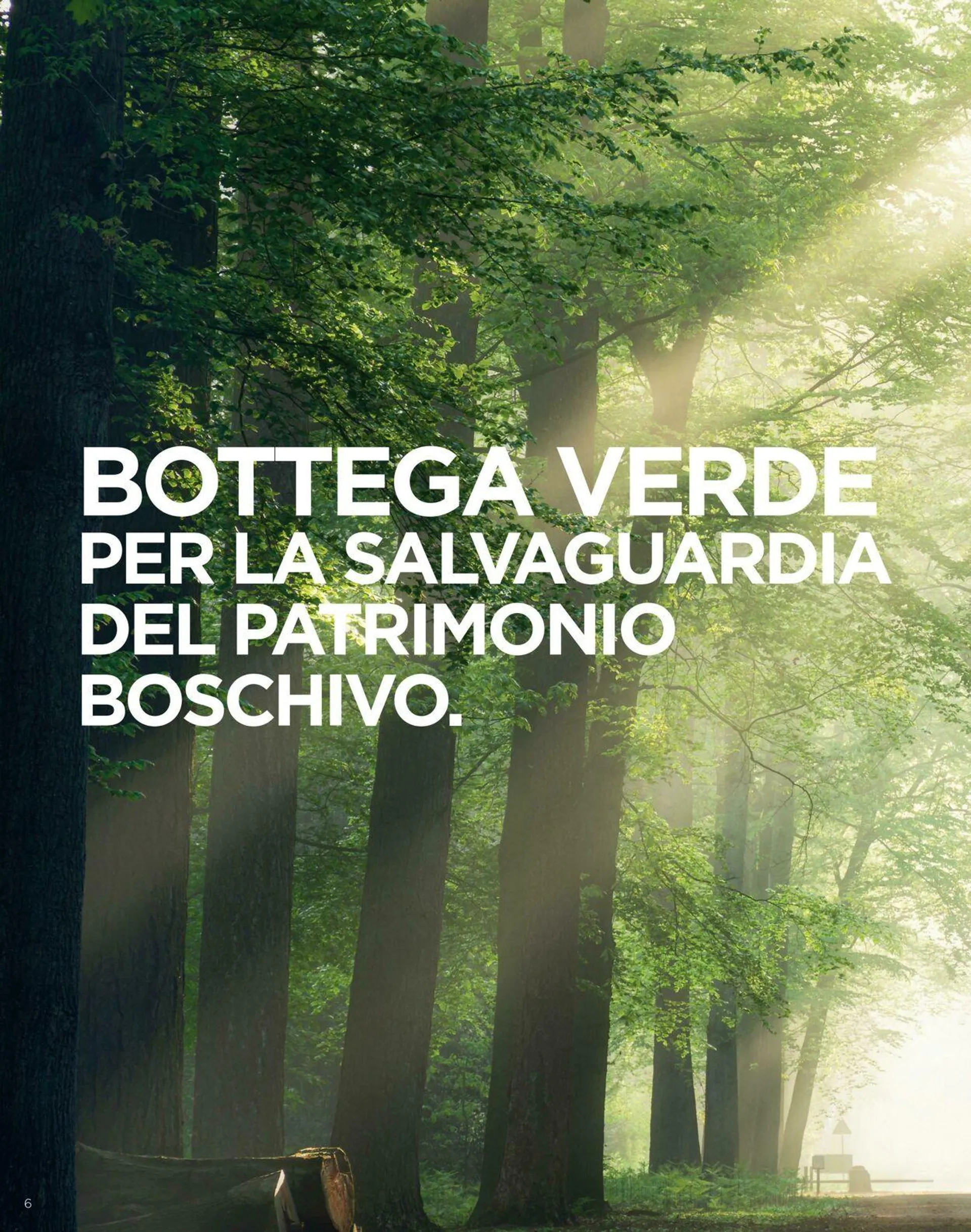 Bottega Verde da 24 aprile a 24 settembre di 2025 - Pagina del volantino 6