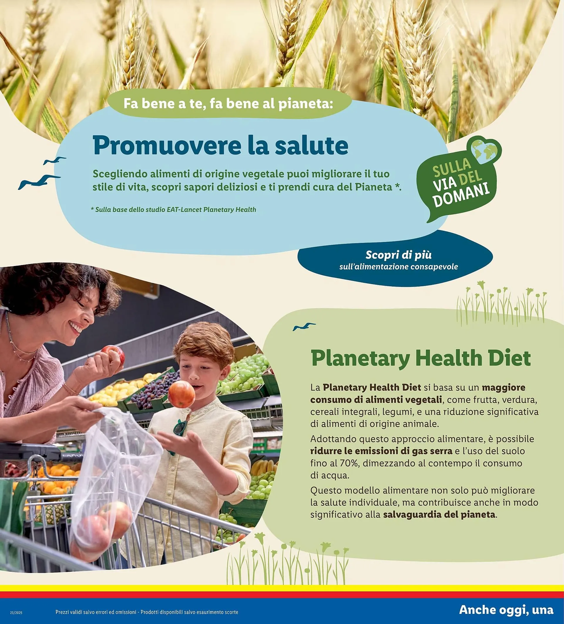 Volantino Lidl da 2 giugno a 8 giugno di 2025 - Pagina del volantino 20
