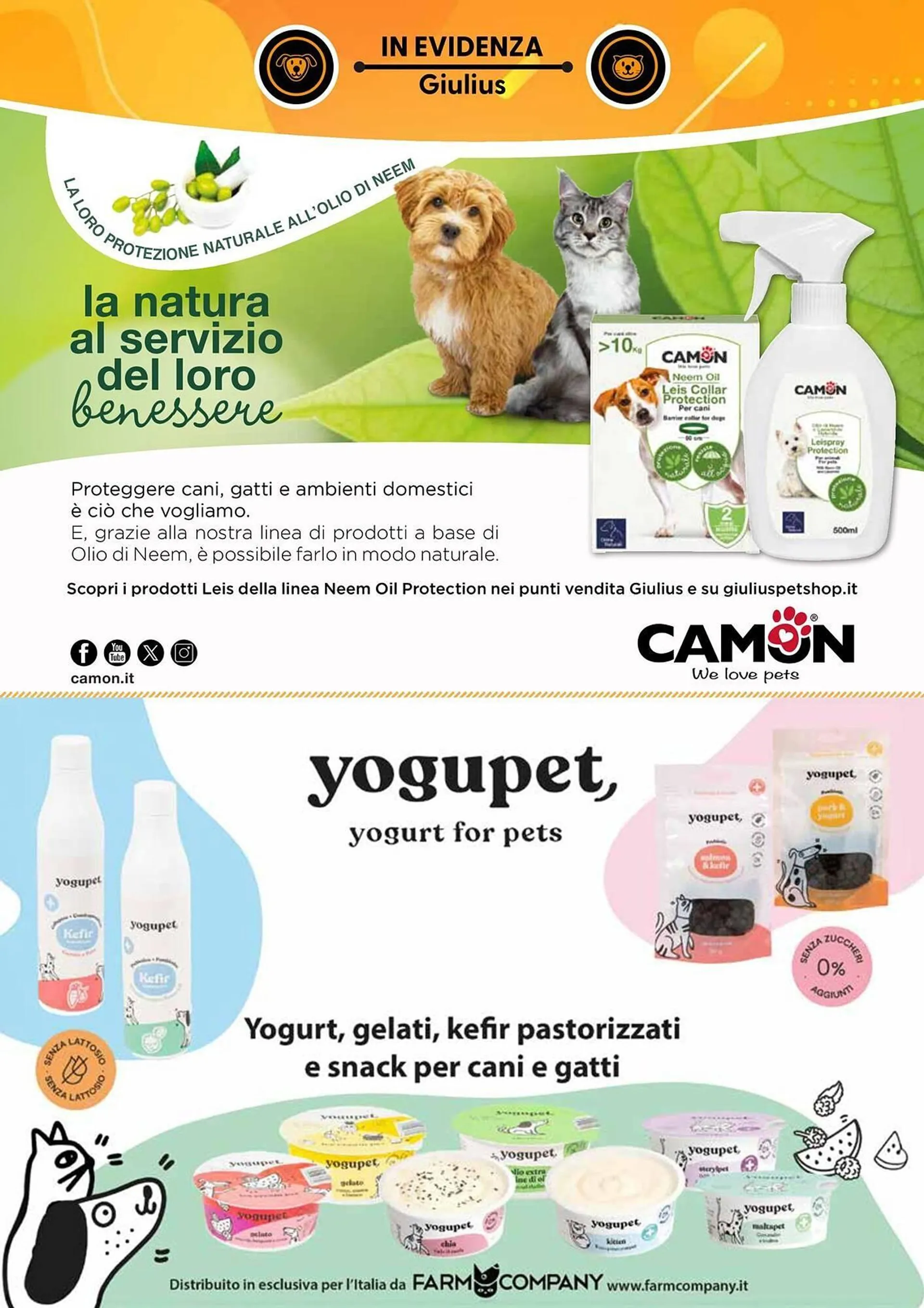Volantino Giulius da 1 luglio a 31 agosto di 2025 - Pagina del volantino 6