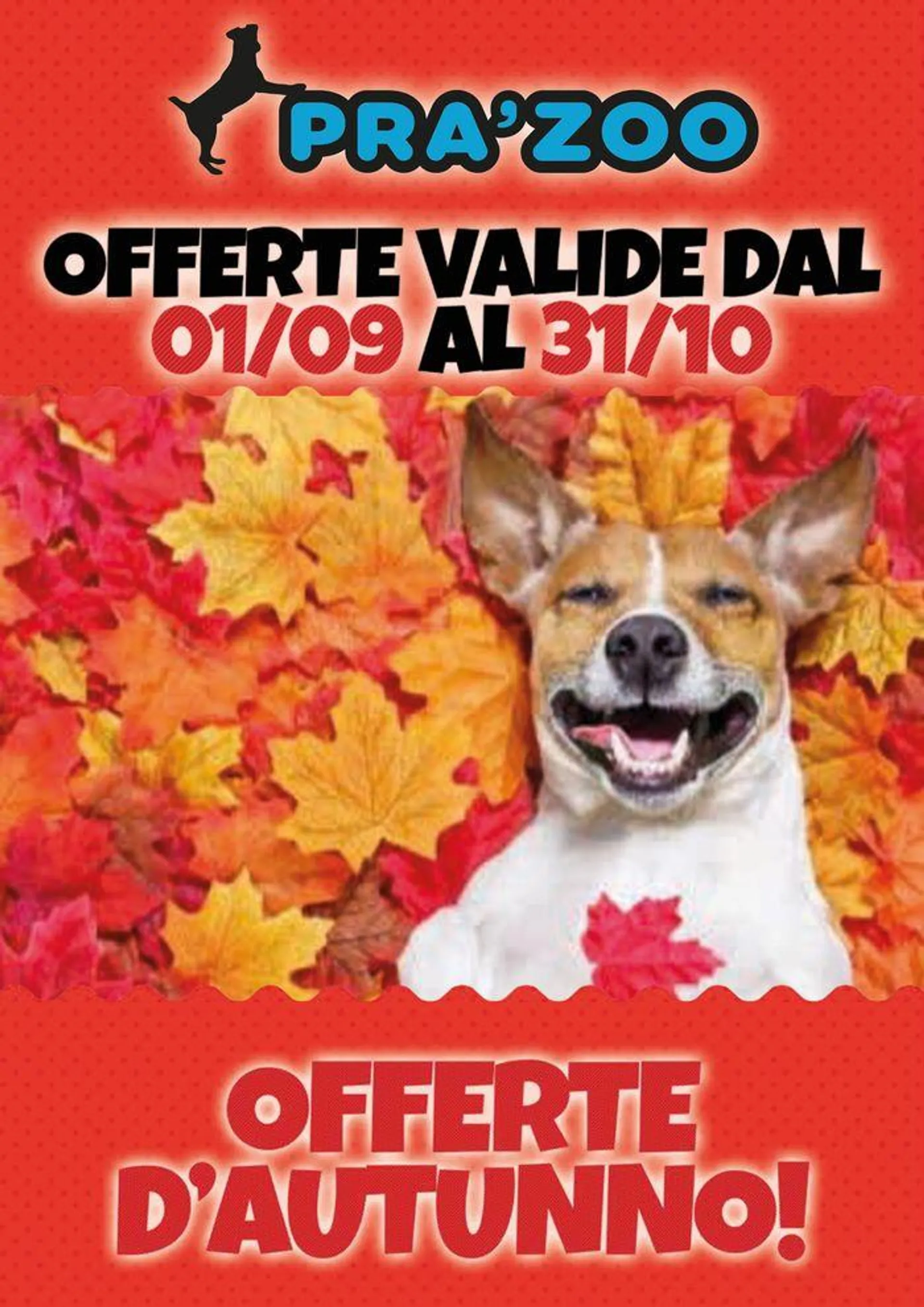 Offerte d'autunno! da 2 settembre a 31 ottobre di 2024 - Pagina del volantino 1