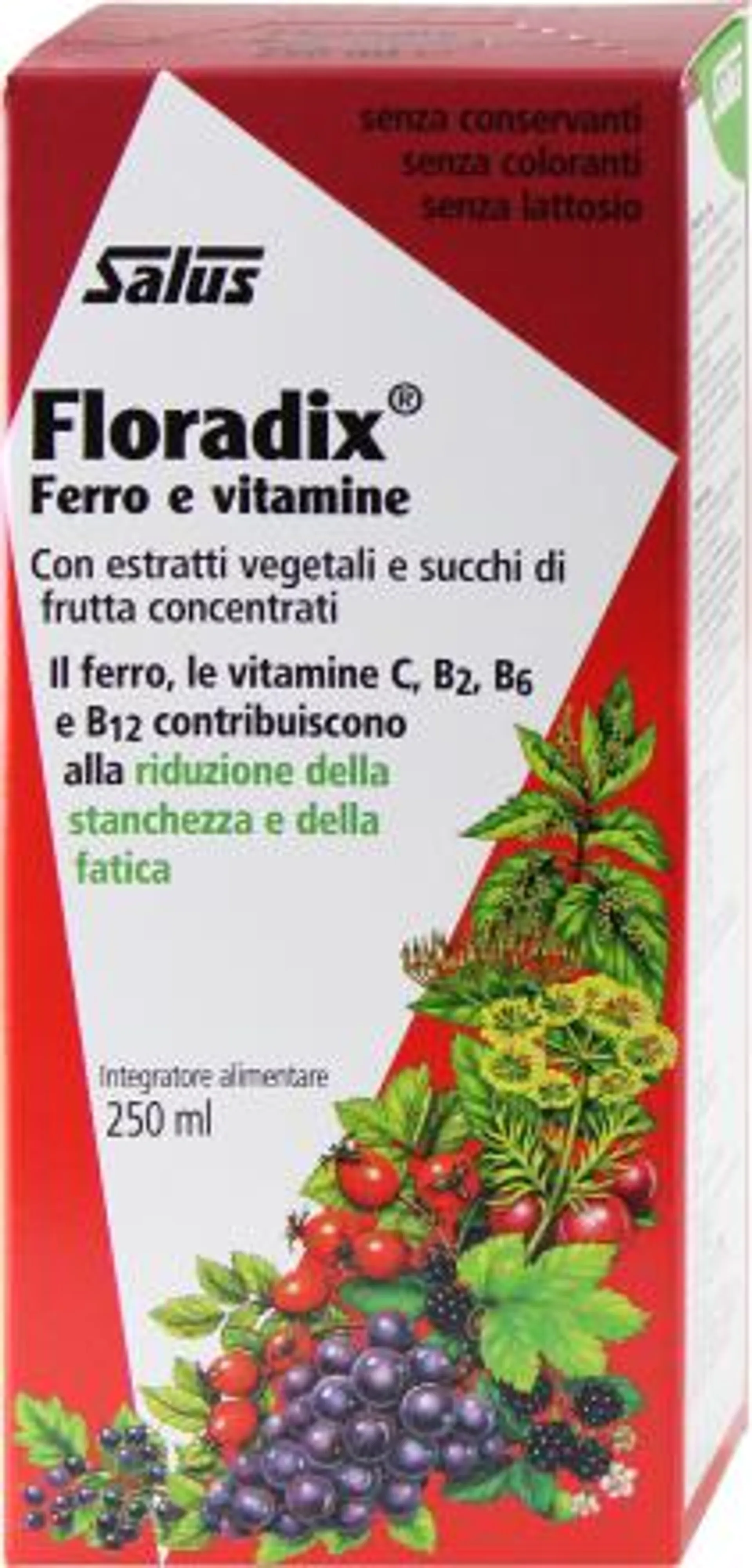 Floradix Sciroppo, 250 ml