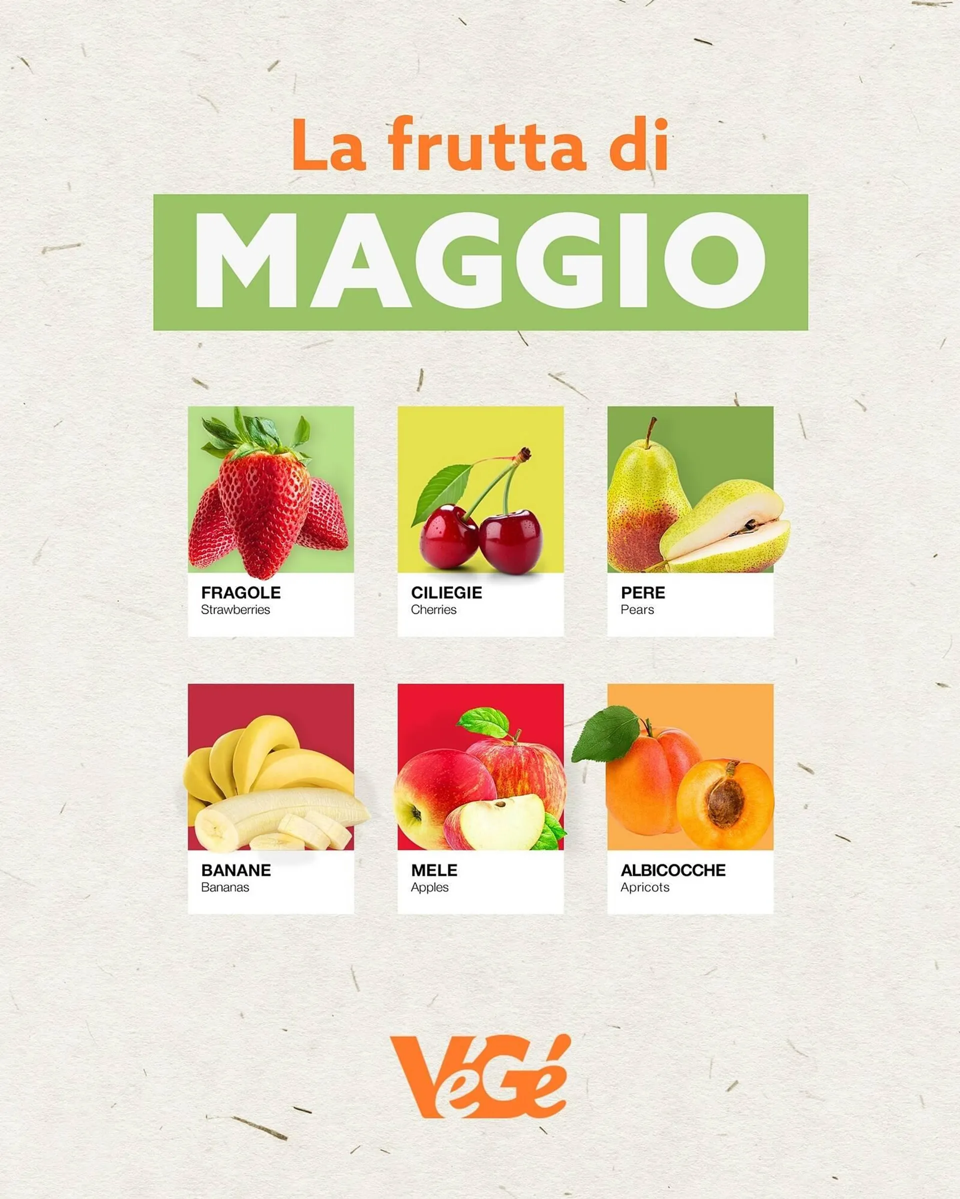 Volantino Gruppo VéGé - 1